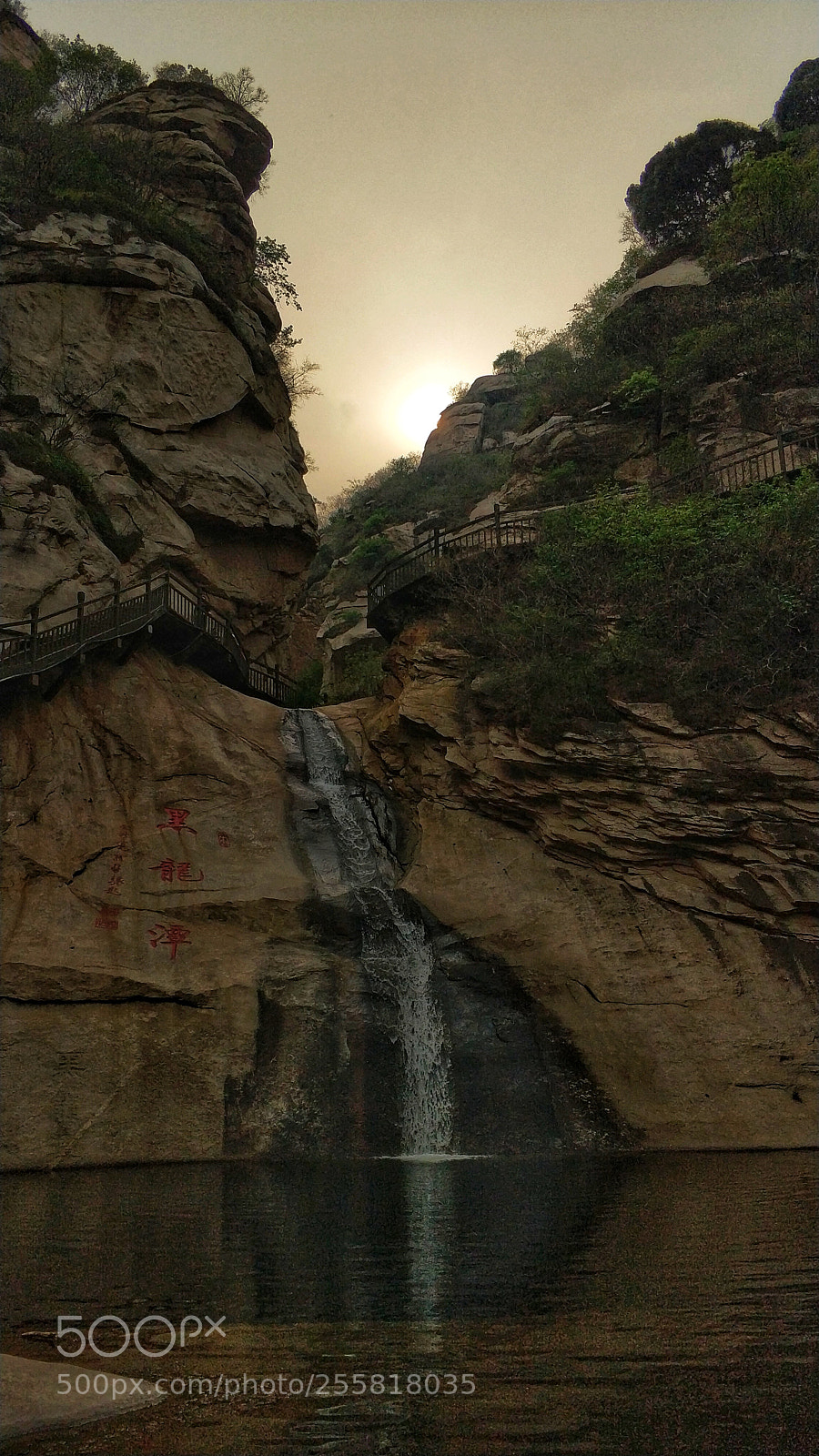 Xiaomi MI6 sample photo. Untitled photography