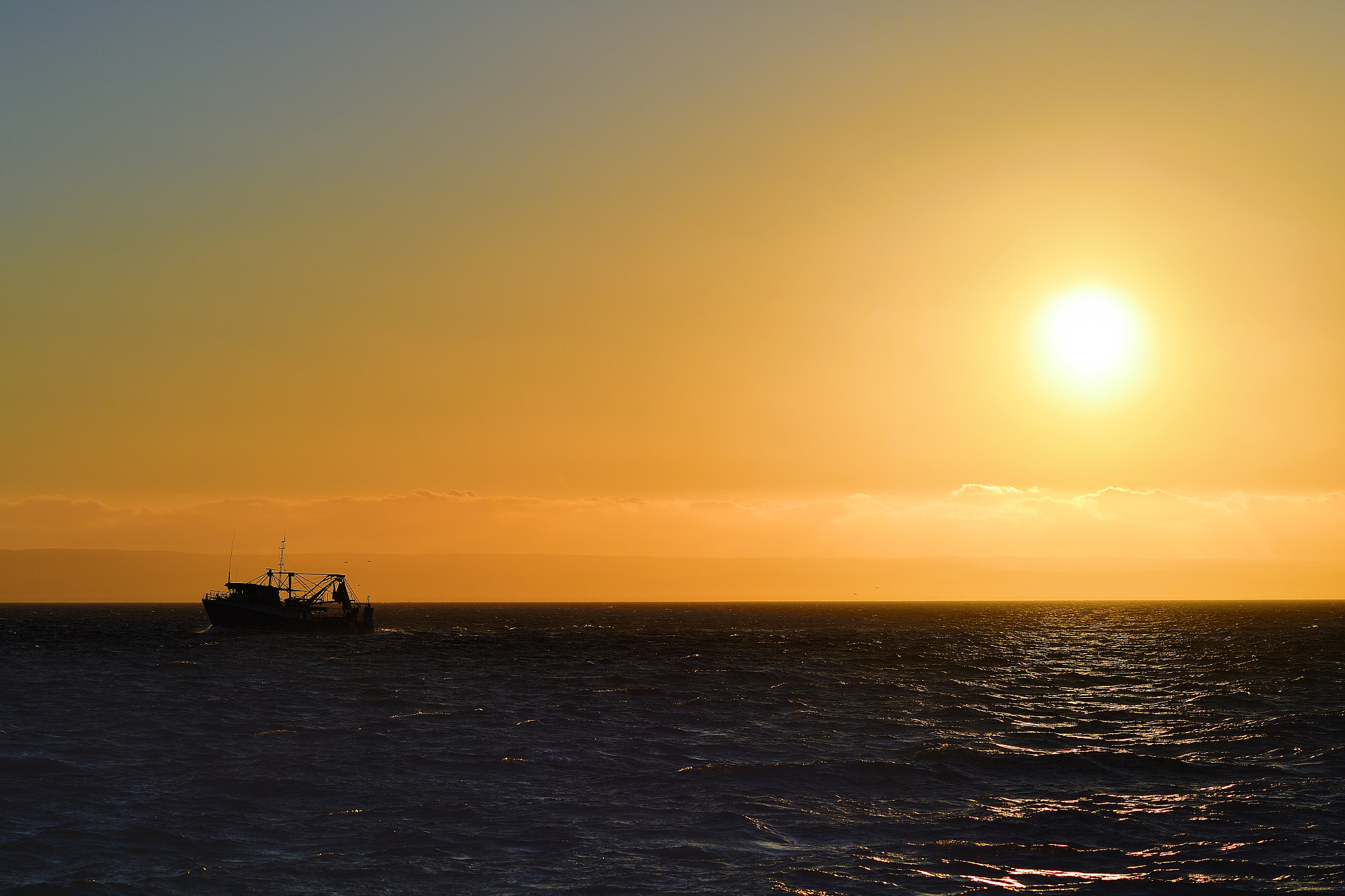 Nikon D5 sample photo. Working photography