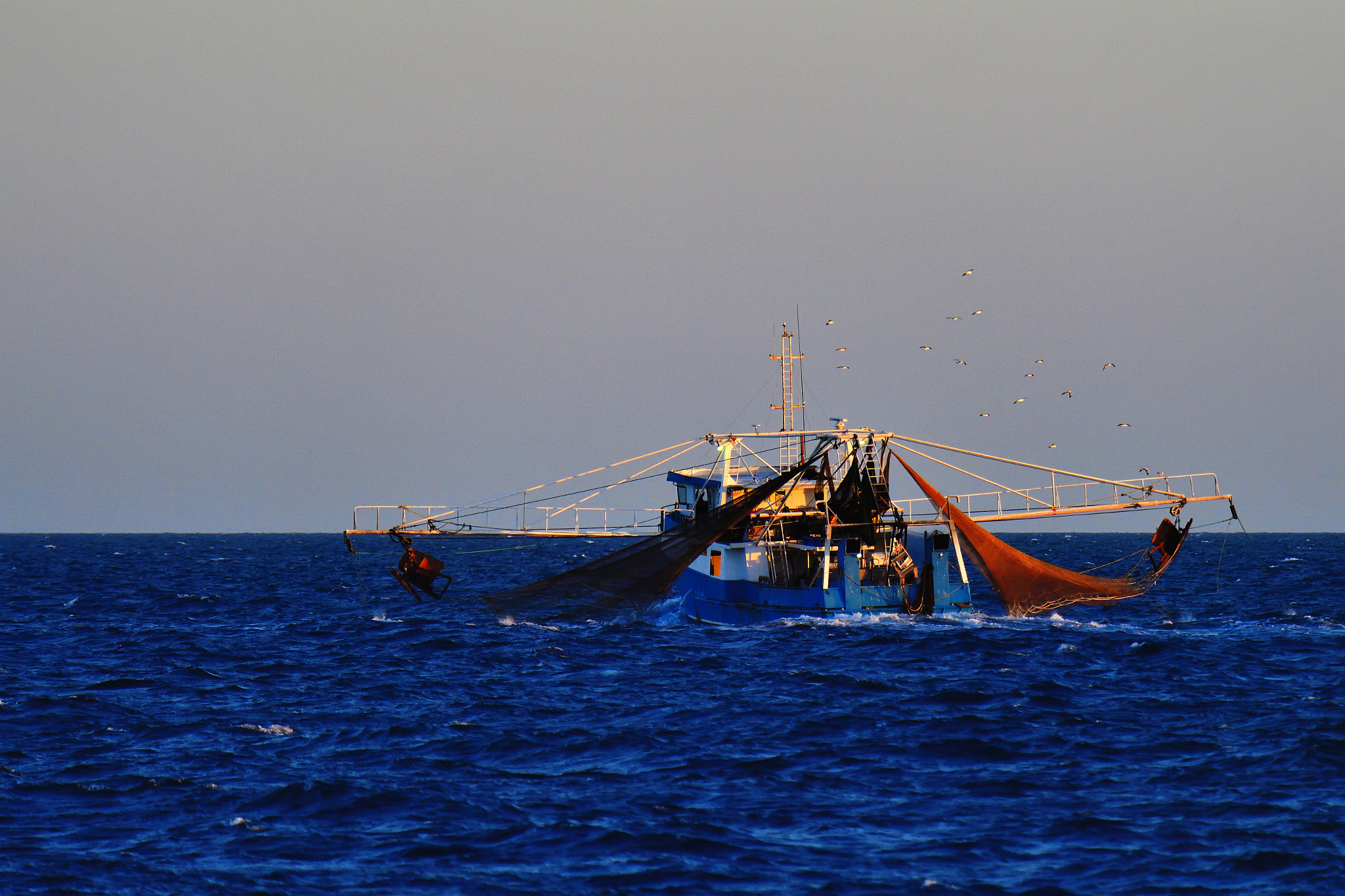 Nikon D5 sample photo. Harvest photography