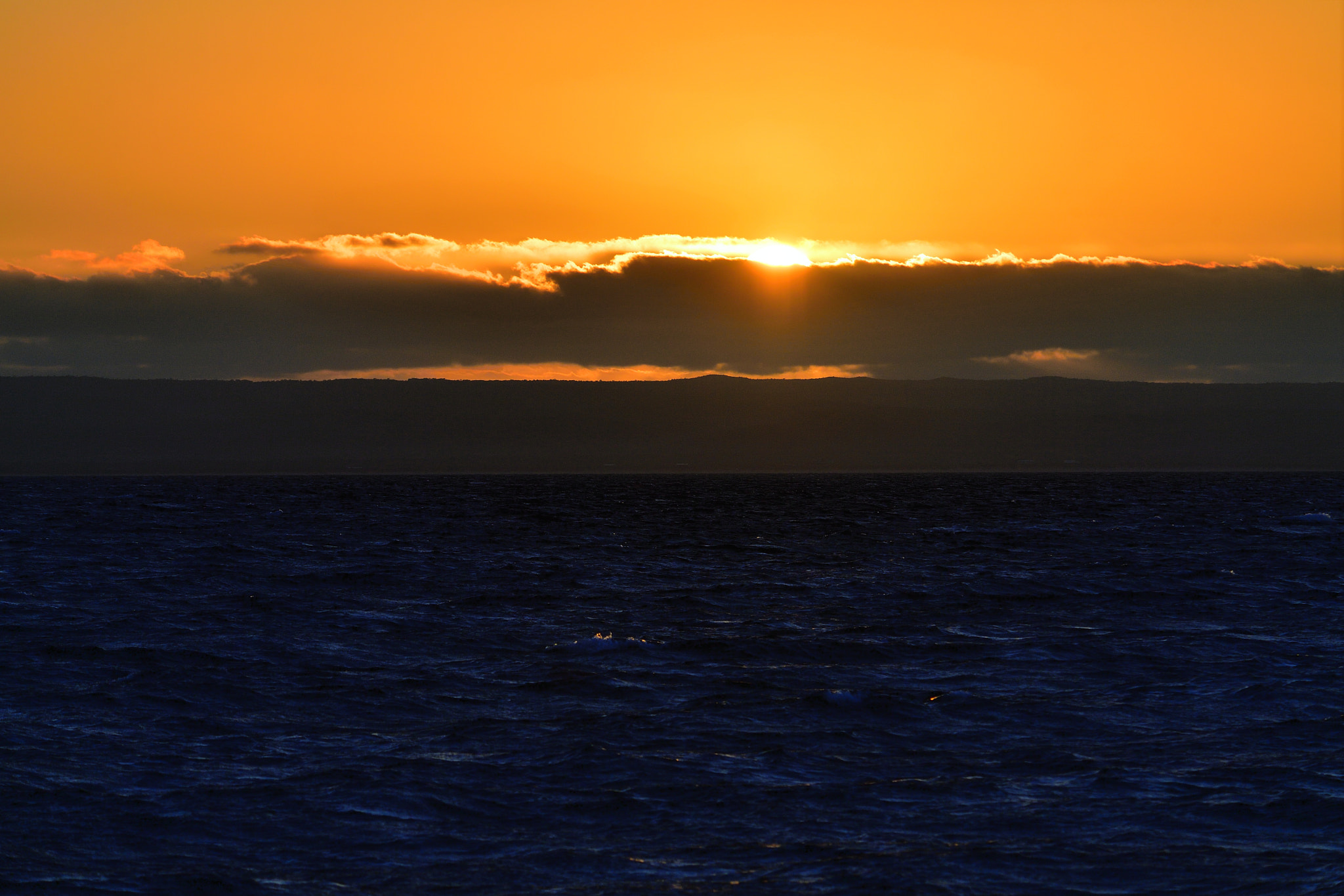 Nikon D5 sample photo. Margin photography