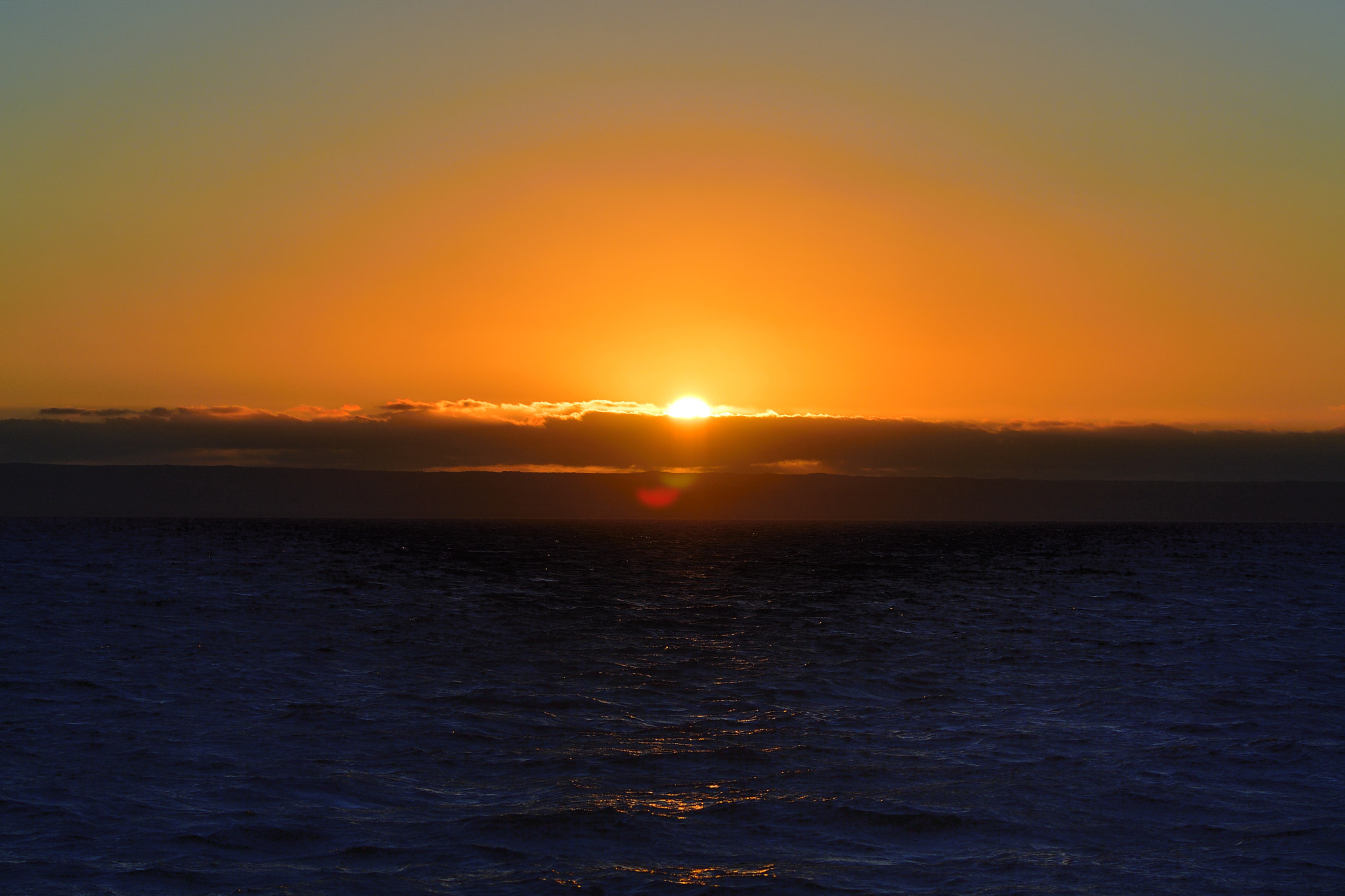Nikon D5 sample photo. Touch photography