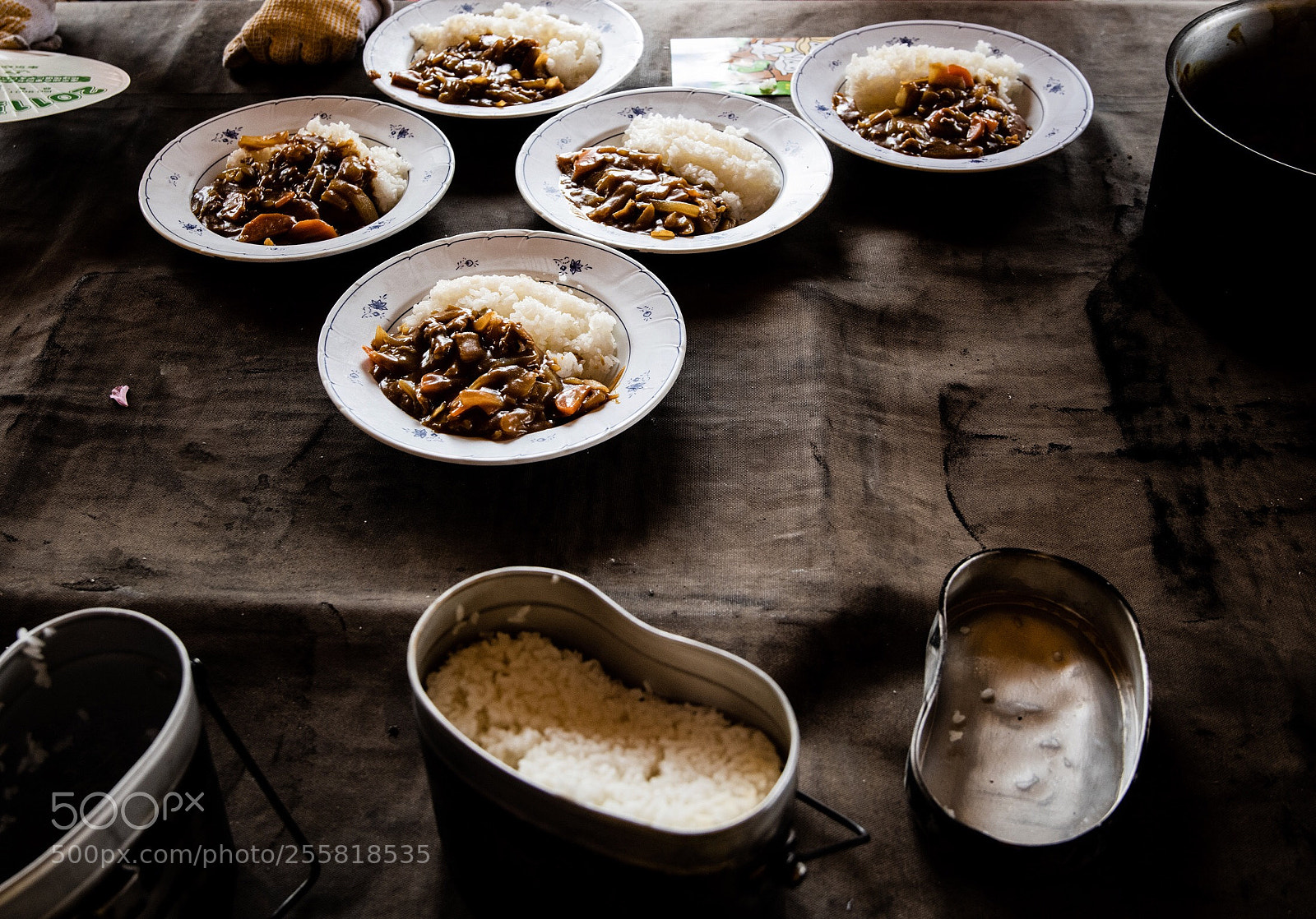 Nikon D850 sample photo. The delicious curry by photography