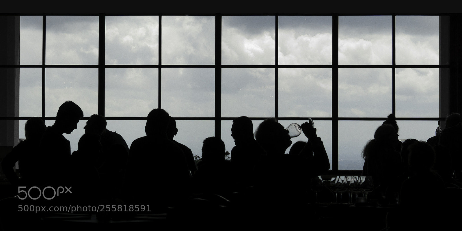 Sony ILCA-77M2 sample photo. At the winery photography