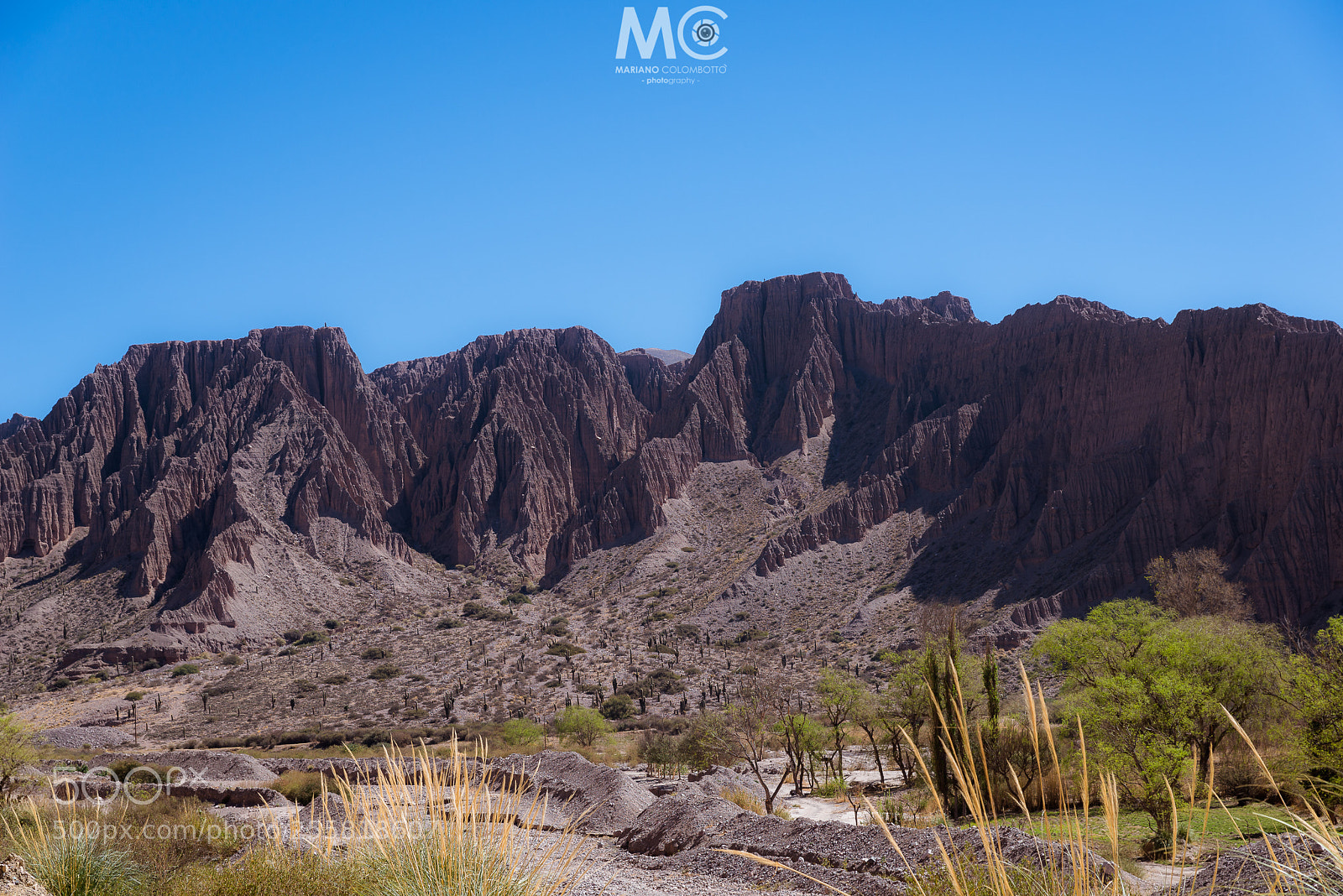 Nikon D610 sample photo. Ravine photography