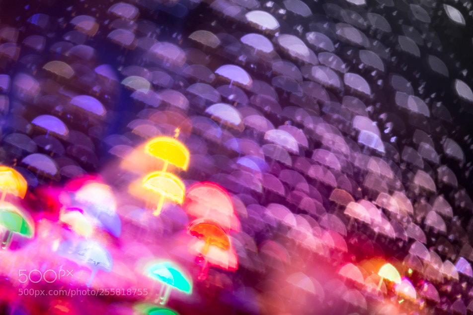 Olympus OM-D E-M10 II sample photo. •  under the rain  • photography