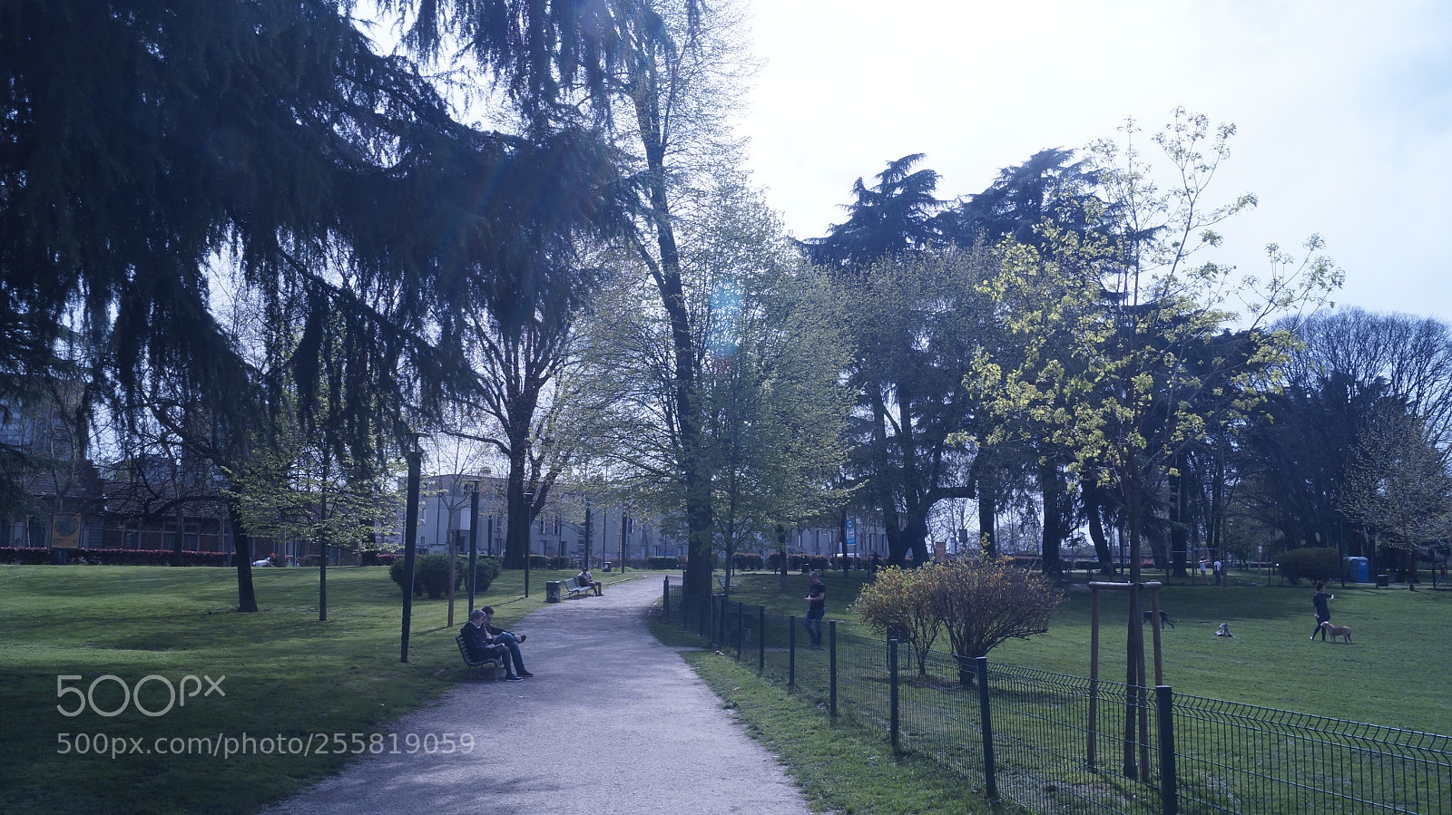 Sony SLT-A37 sample photo. Alessandrina ravizza park, spring 2018 photography