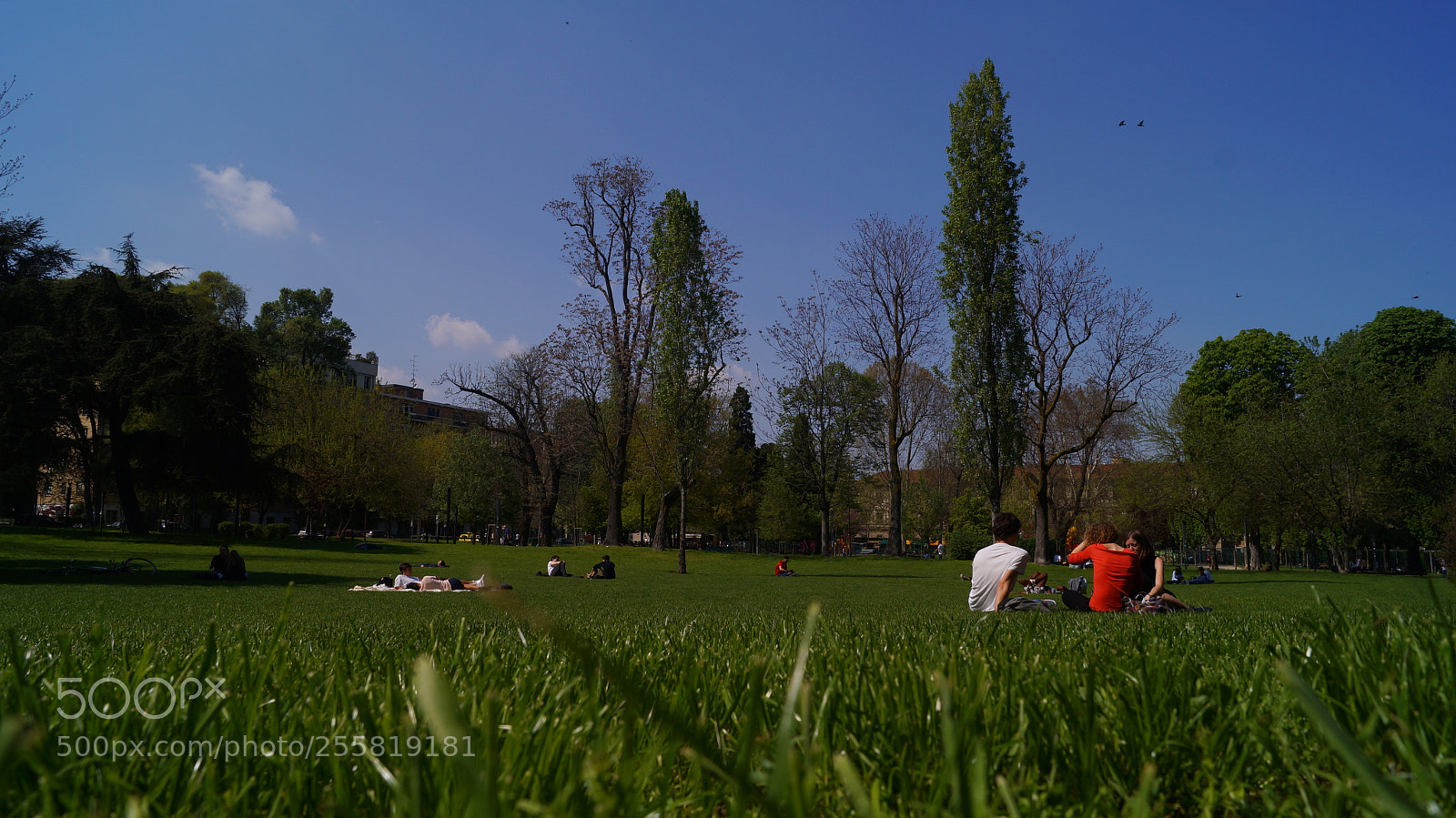 Sony SLT-A37 sample photo. Alessandrina ravizza park, spring 2018 photography