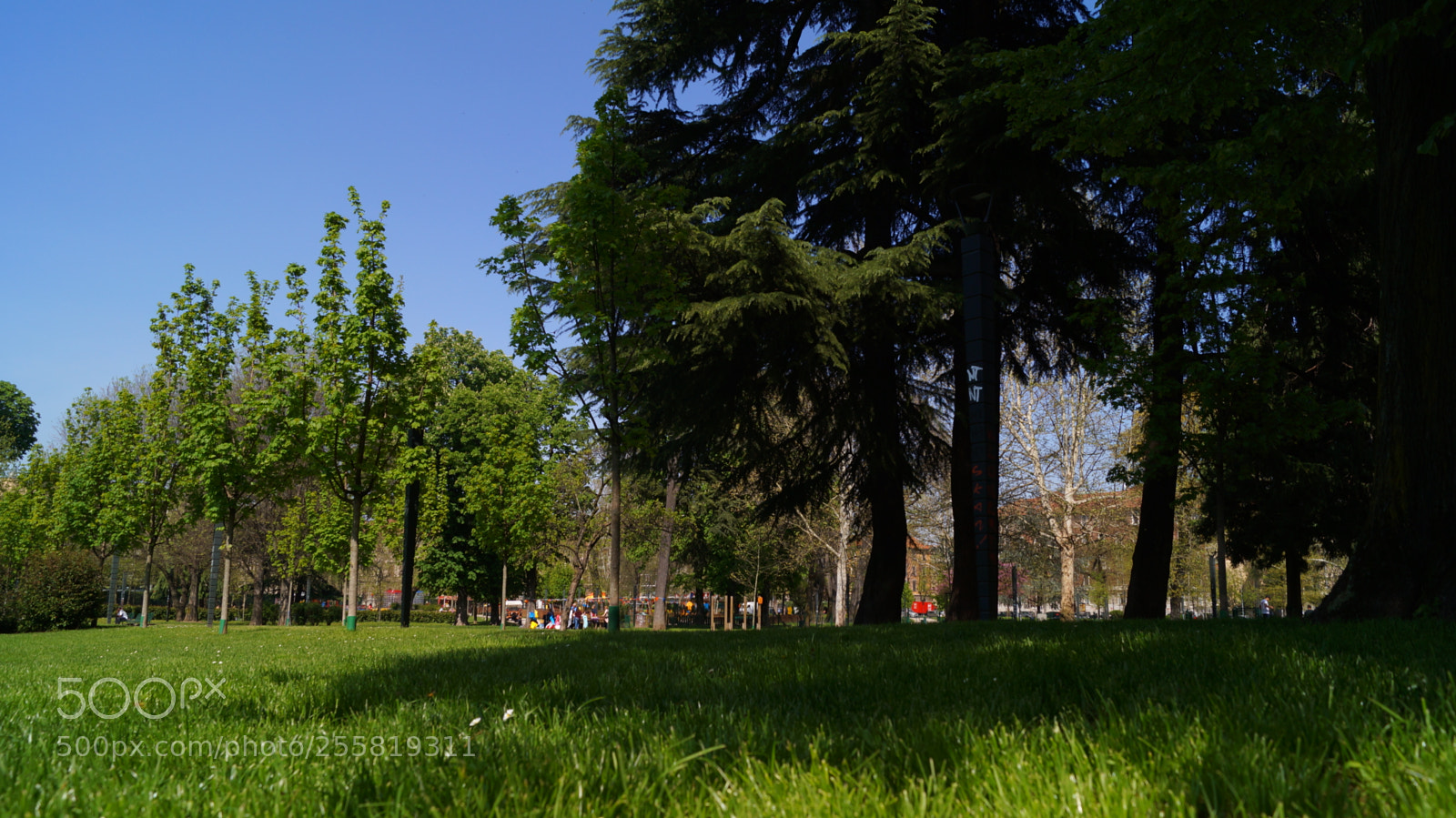 Sony SLT-A37 sample photo. Alessandrina ravizza park, spring 2018 photography