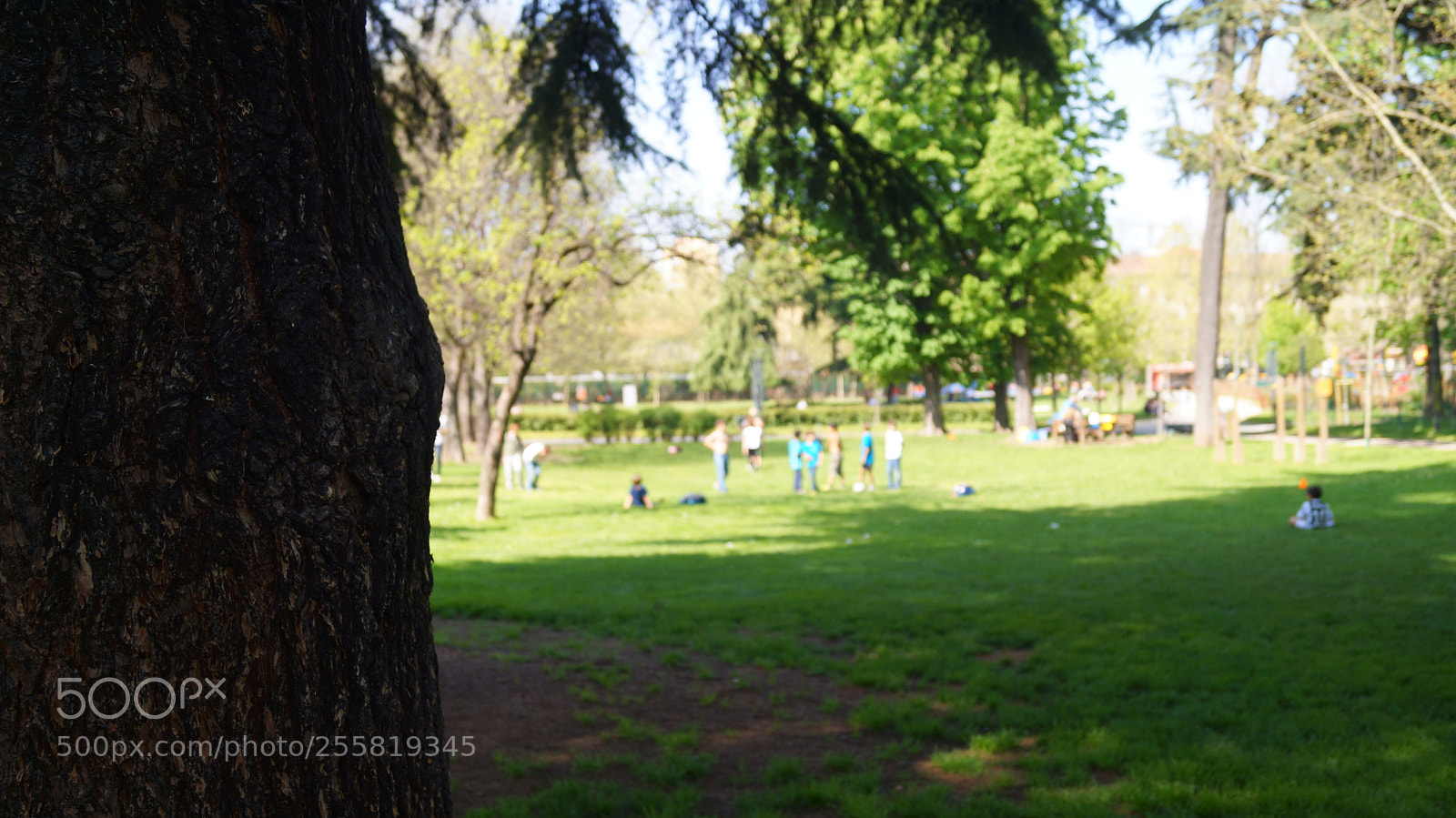 Sony SLT-A37 sample photo. Alessandrina ravizza park, spring 2018 photography