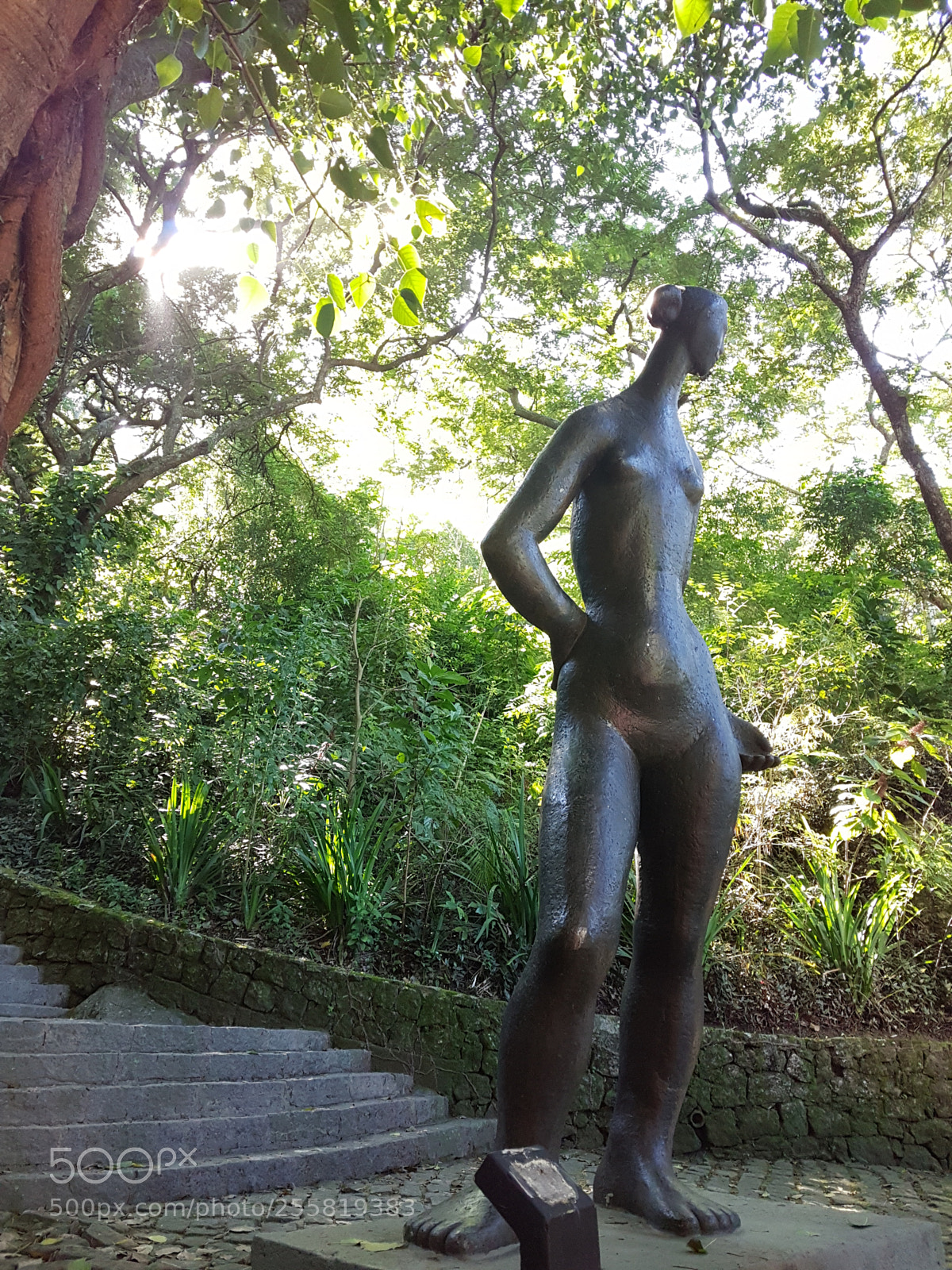 Samsung Galaxy S7 Edge sample photo. Catacumba park rio de photography