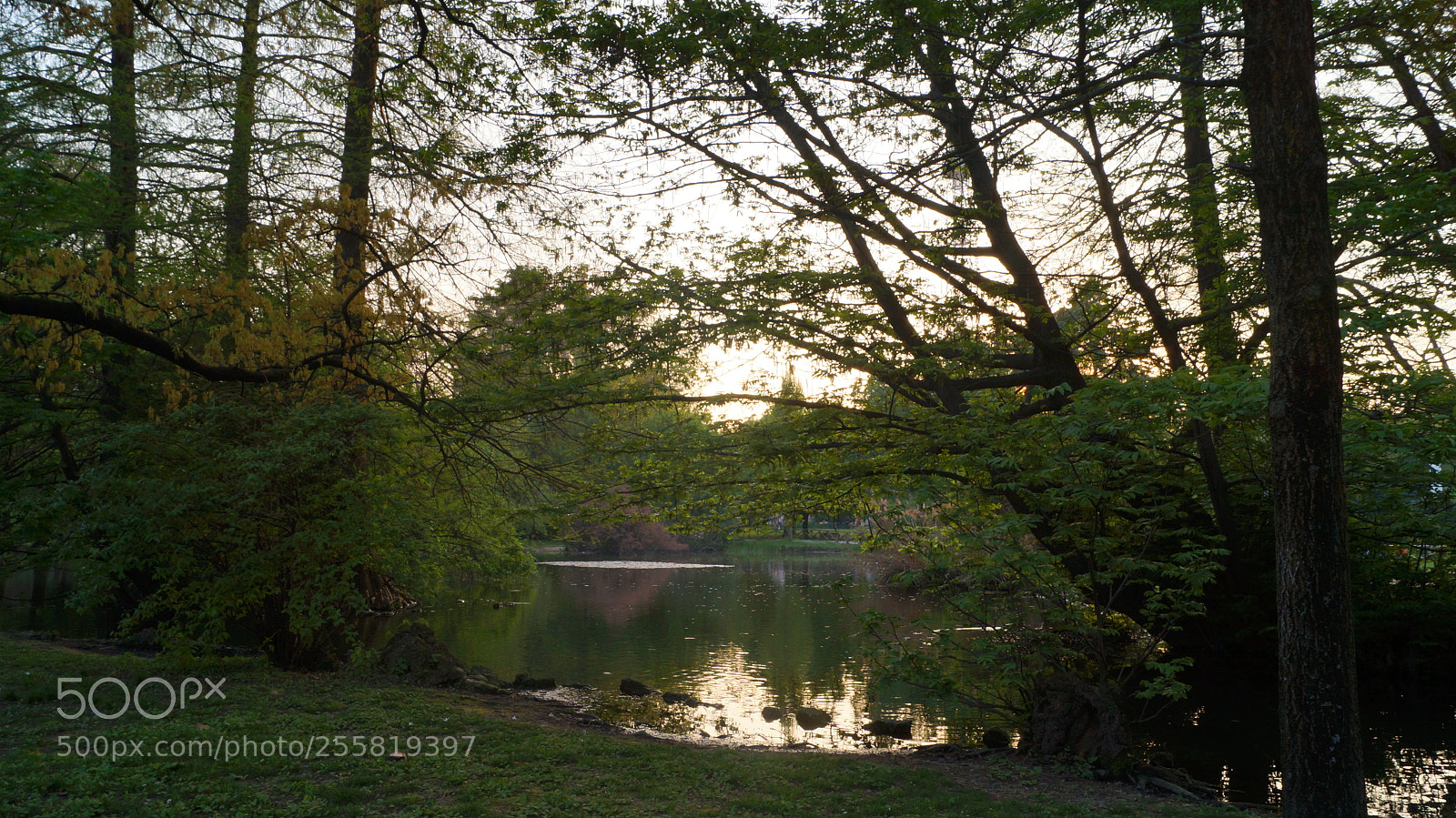 Sony SLT-A37 sample photo. Sempione park, spring 2018 photography