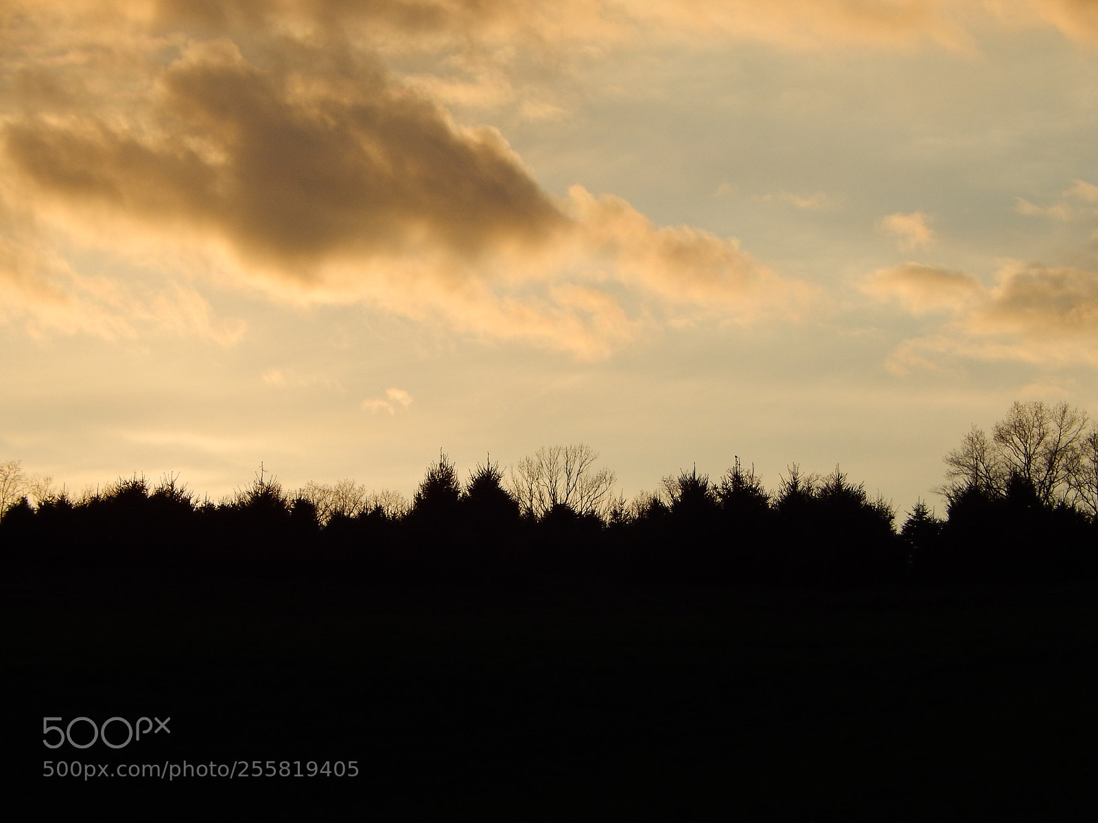 Nikon Coolpix L820 sample photo. Sunset silhouette photography