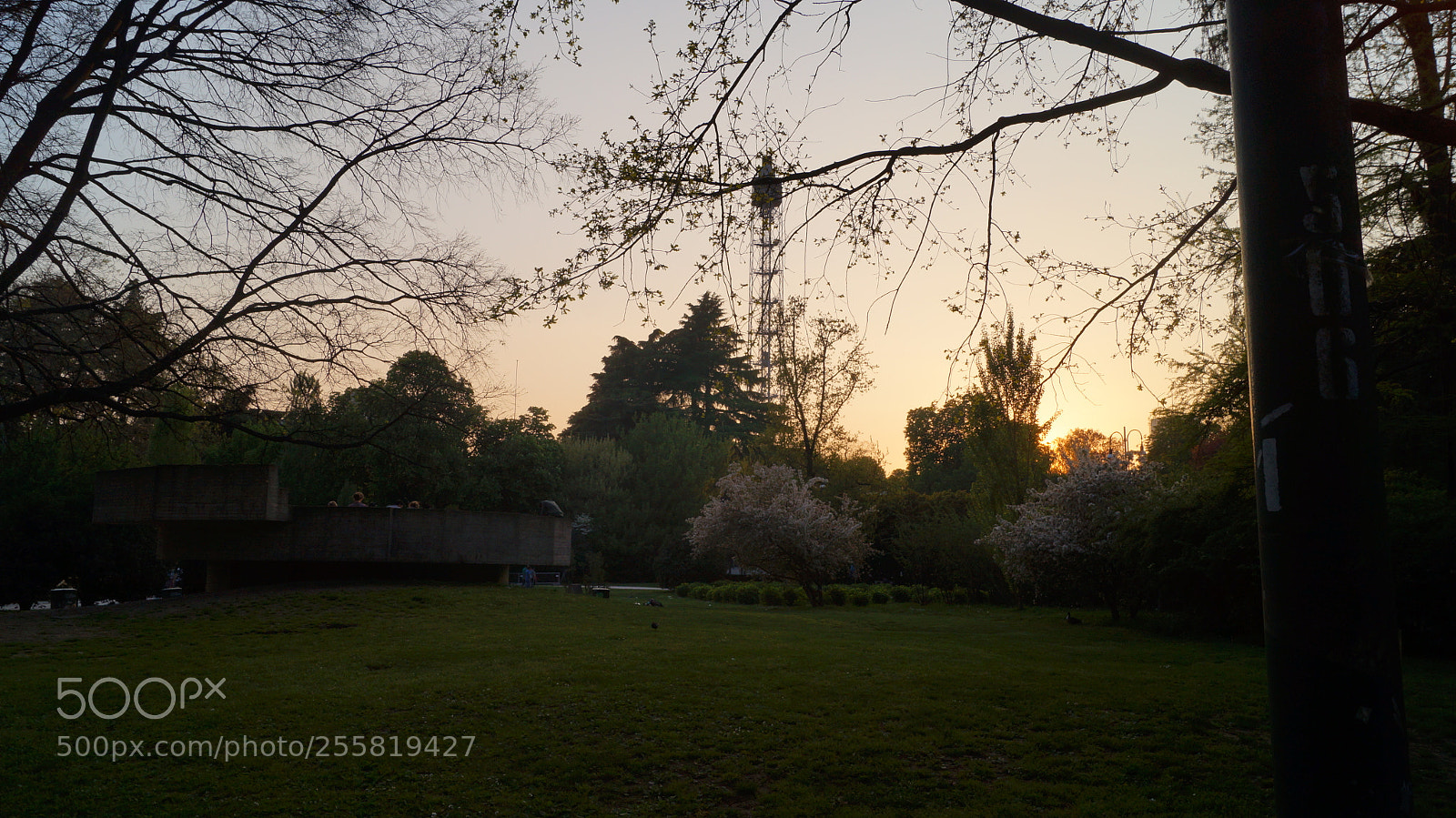 Sony SLT-A37 sample photo. Sempione park, spring 2018 photography