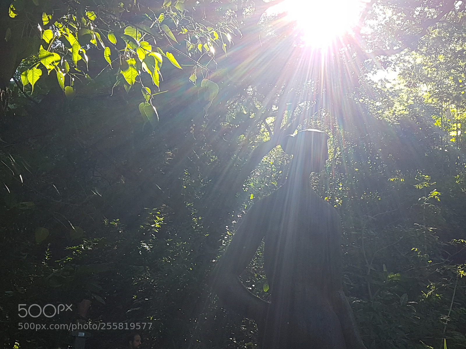 Samsung Galaxy S7 Edge sample photo. Catacumba park rj photography