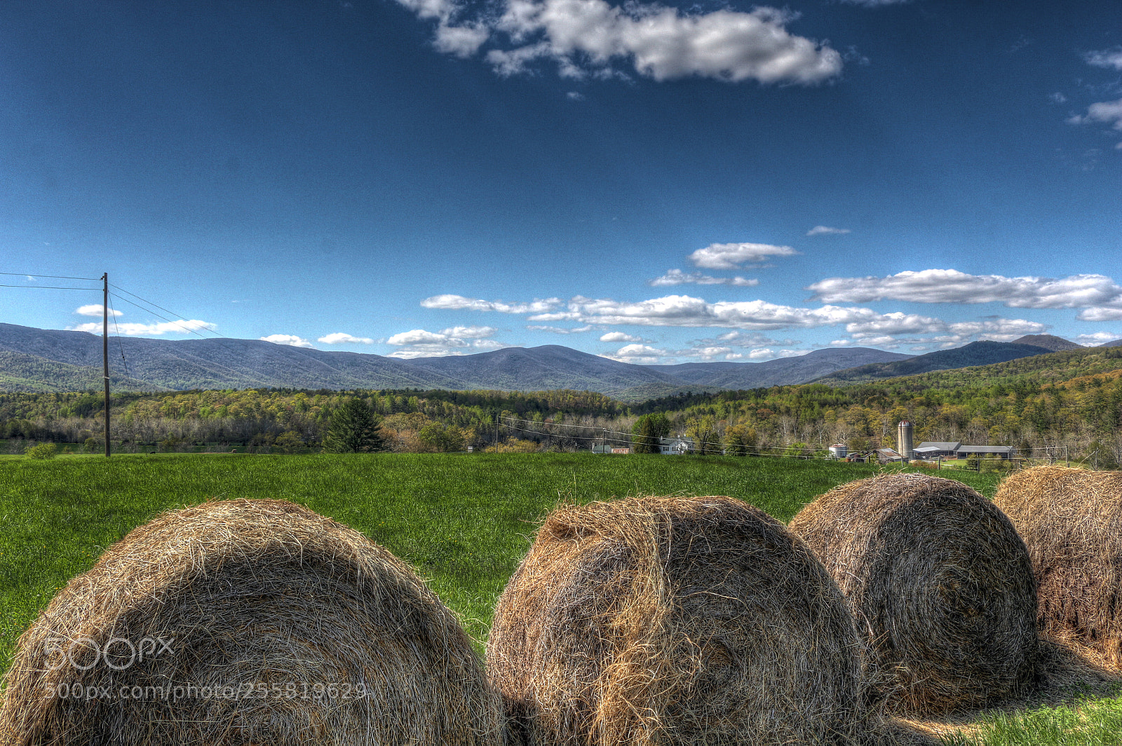 Canon EOS 700D (EOS Rebel T5i / EOS Kiss X7i) sample photo. Charlottesville in spring time photography