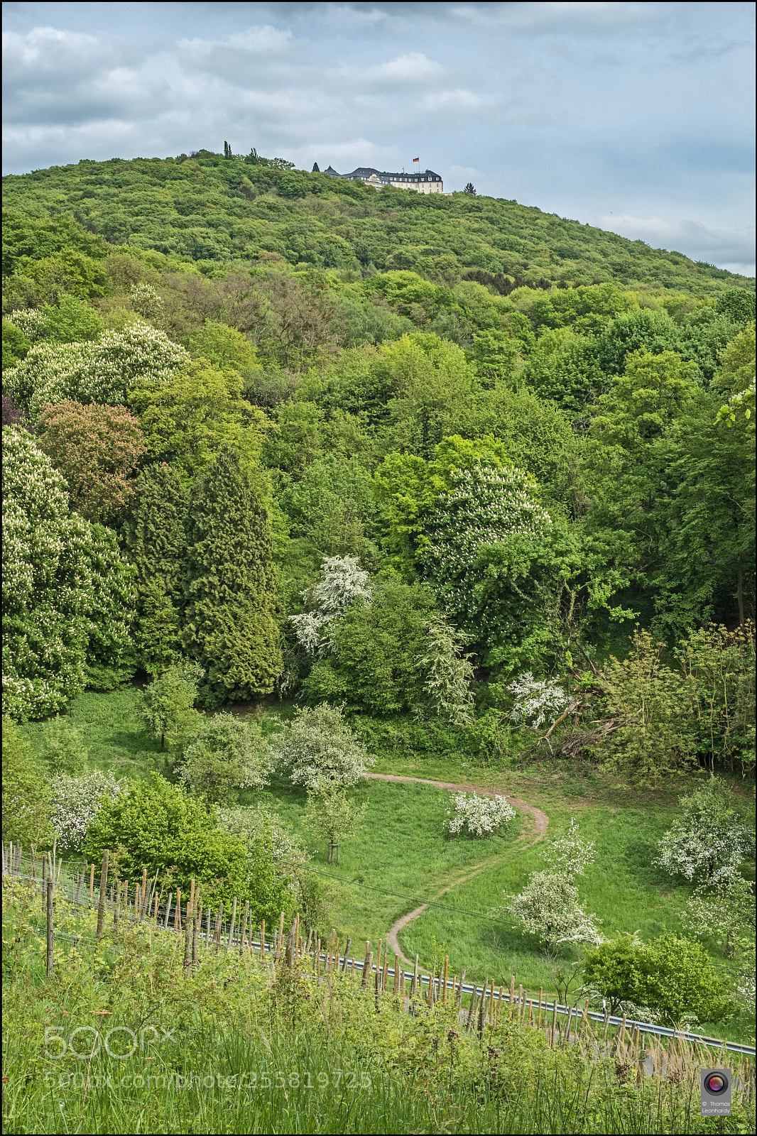 Fujifilm X-Pro2 sample photo. Frühling im siebengebierge photography