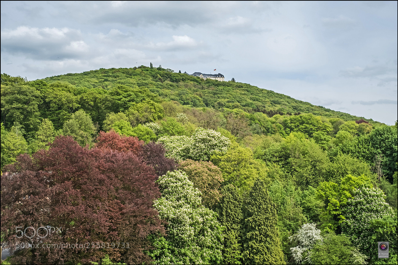 Fujifilm X-Pro2 sample photo. Frühling im siebengebierge photography