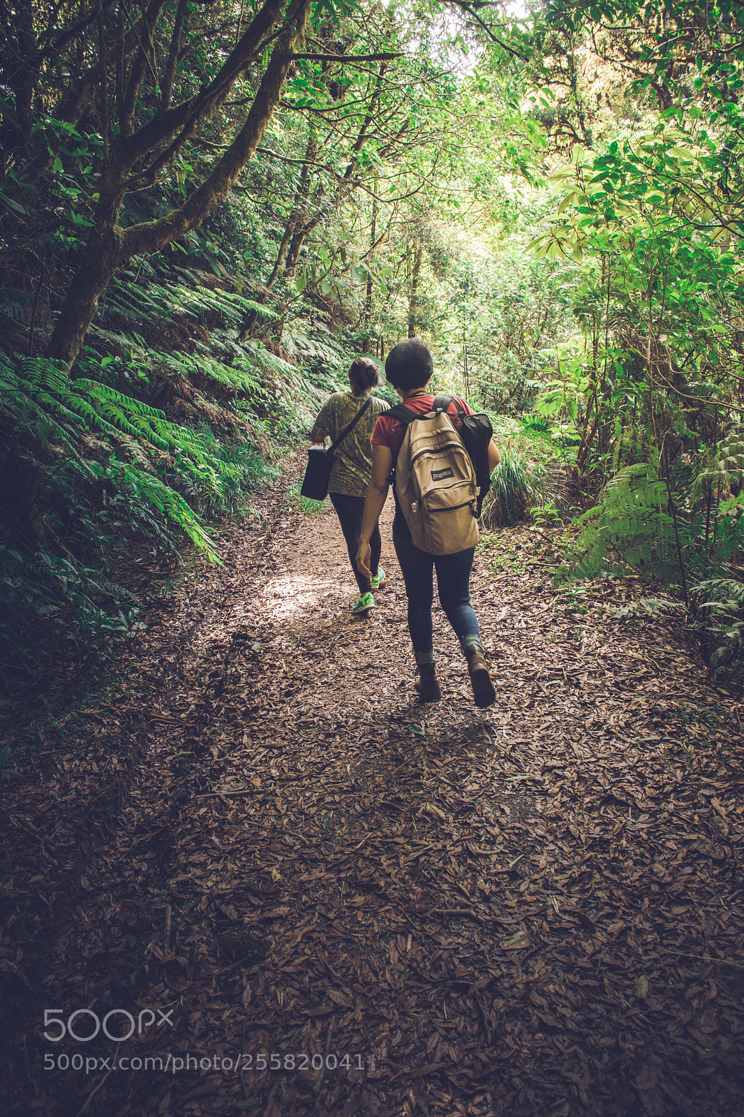 Nikon D7200 sample photo. Friends in forest photography