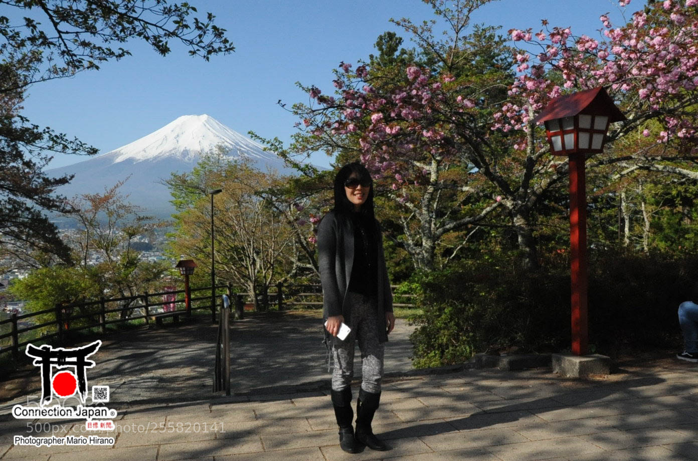 Nikon D700 sample photo. Sakura photography