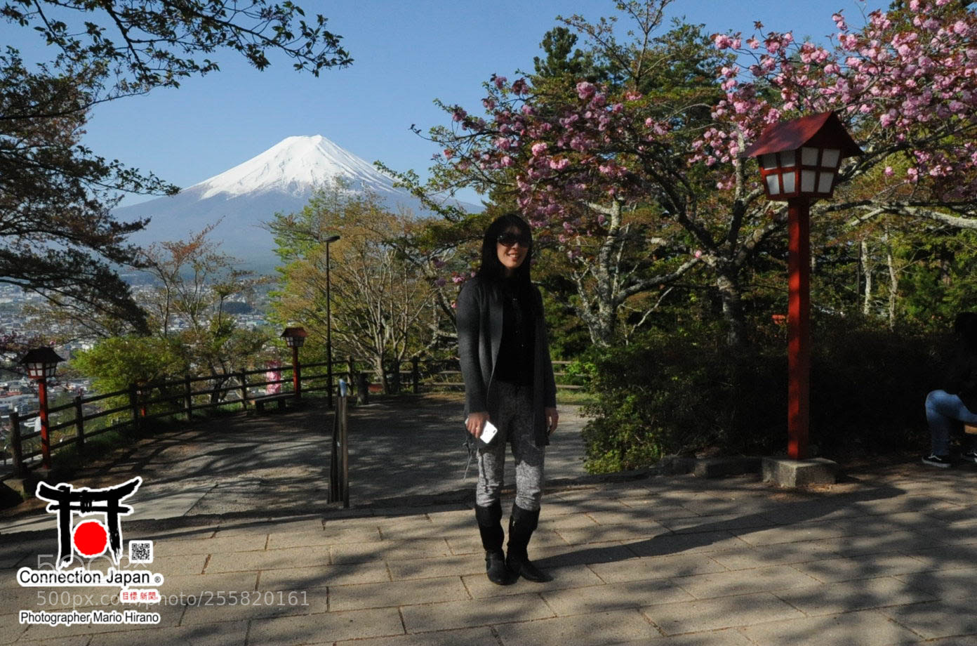 Nikon D700 sample photo. Sakura photography