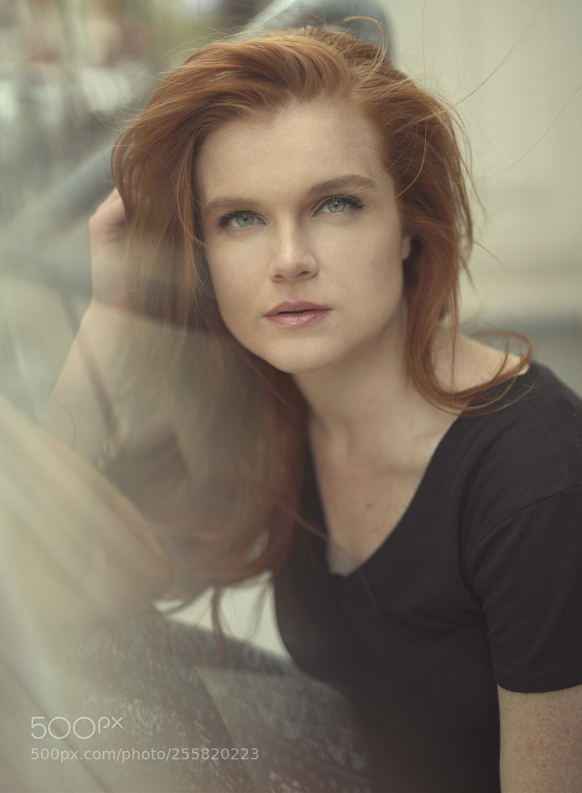 Nikon D850 sample photo. Kelly photography