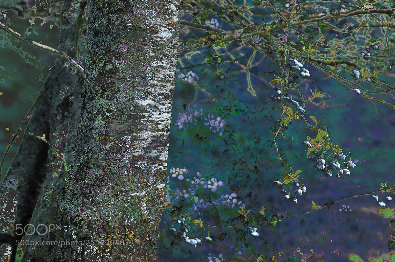 Nikon D300 sample photo. Fragrance of spring photography