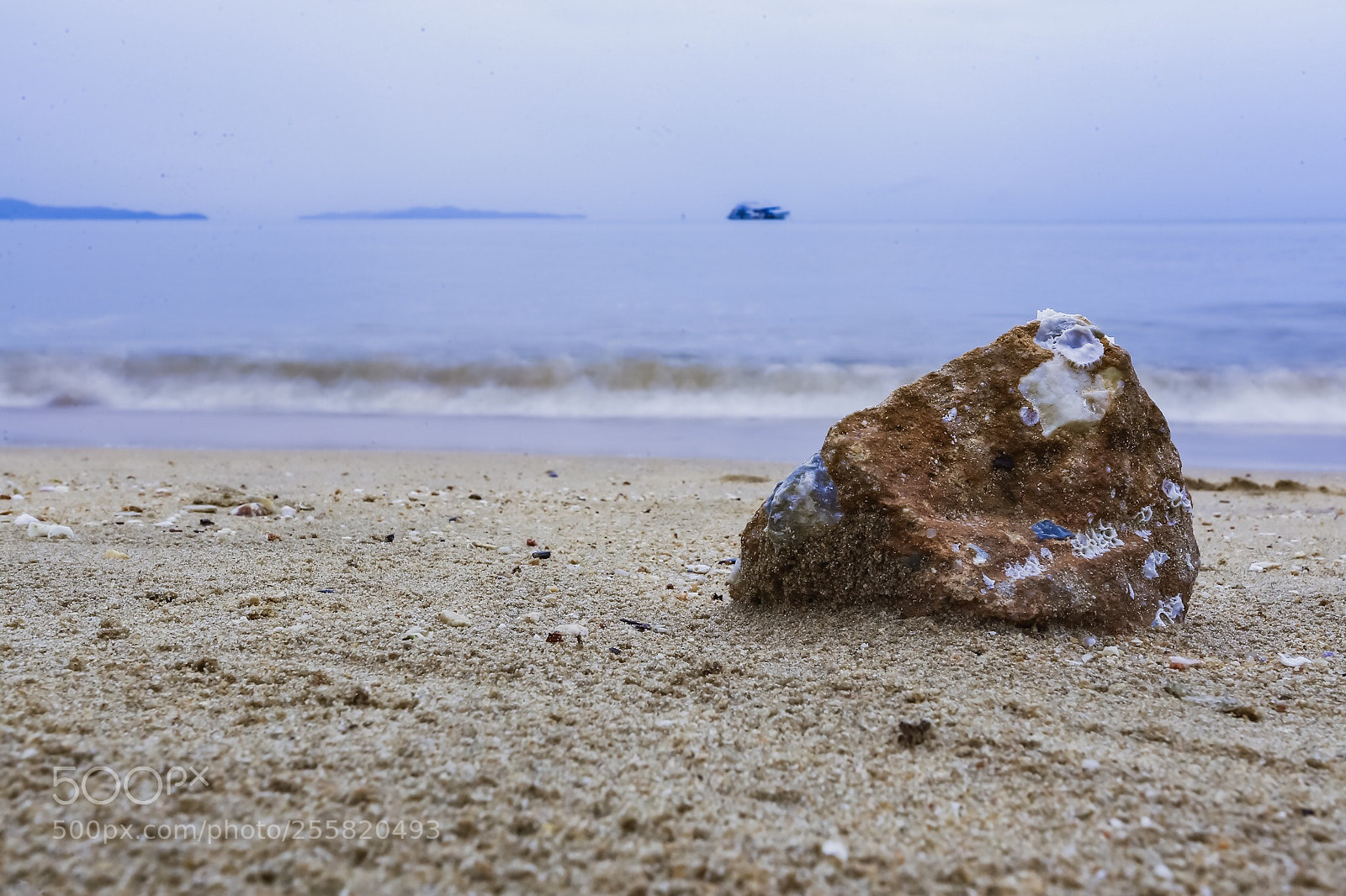Canon EOS 6D sample photo. Untitled photography