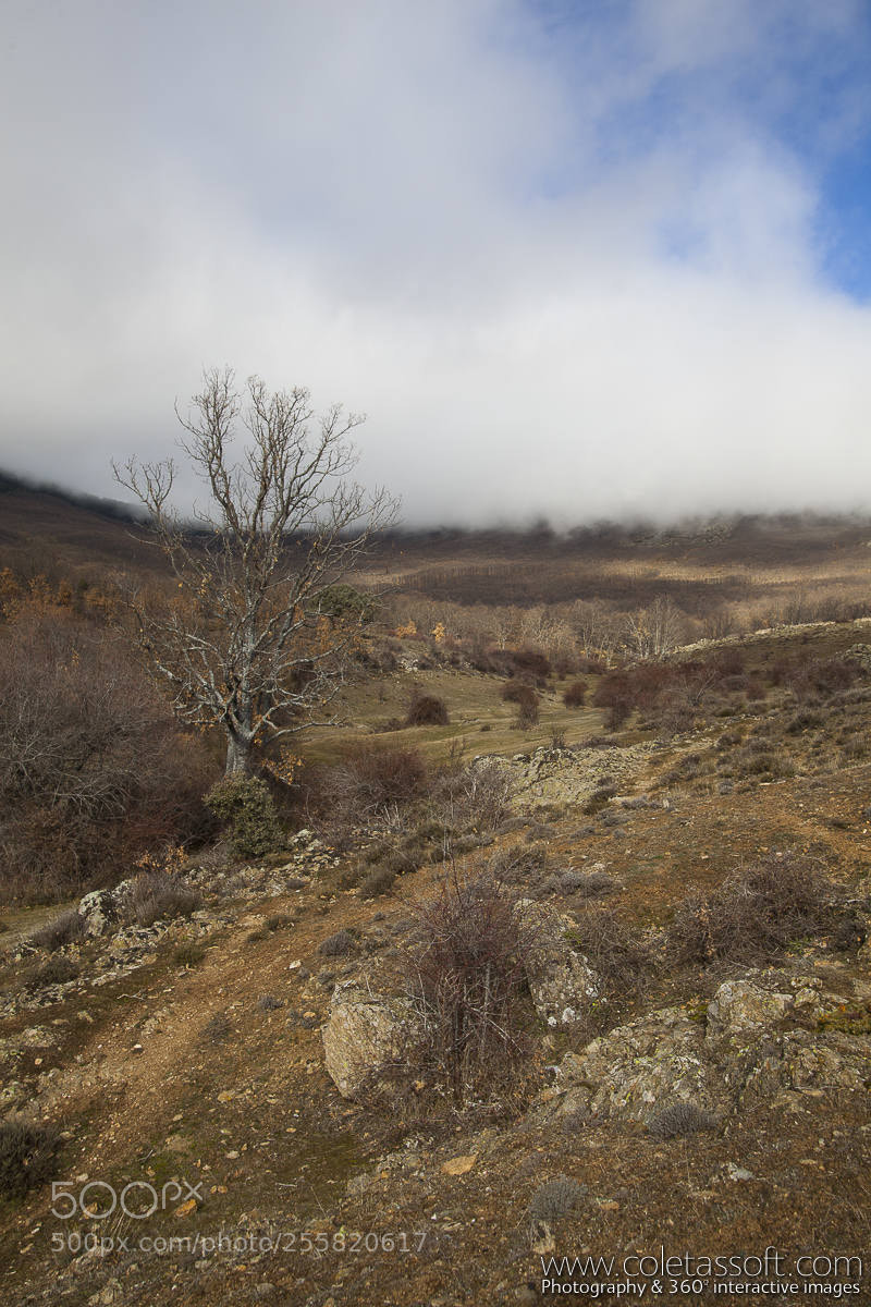 Canon EOS 5D Mark II sample photo. El lomo photography