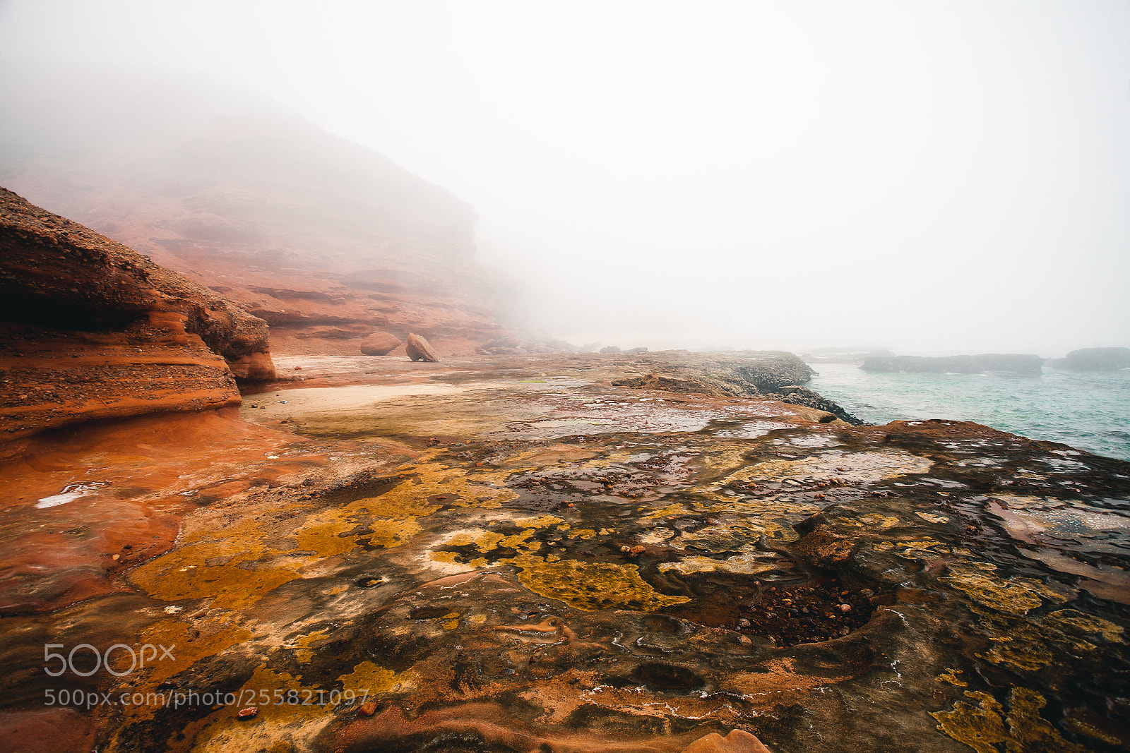 Canon EOS 5D Mark II sample photo. Foggy coast photography