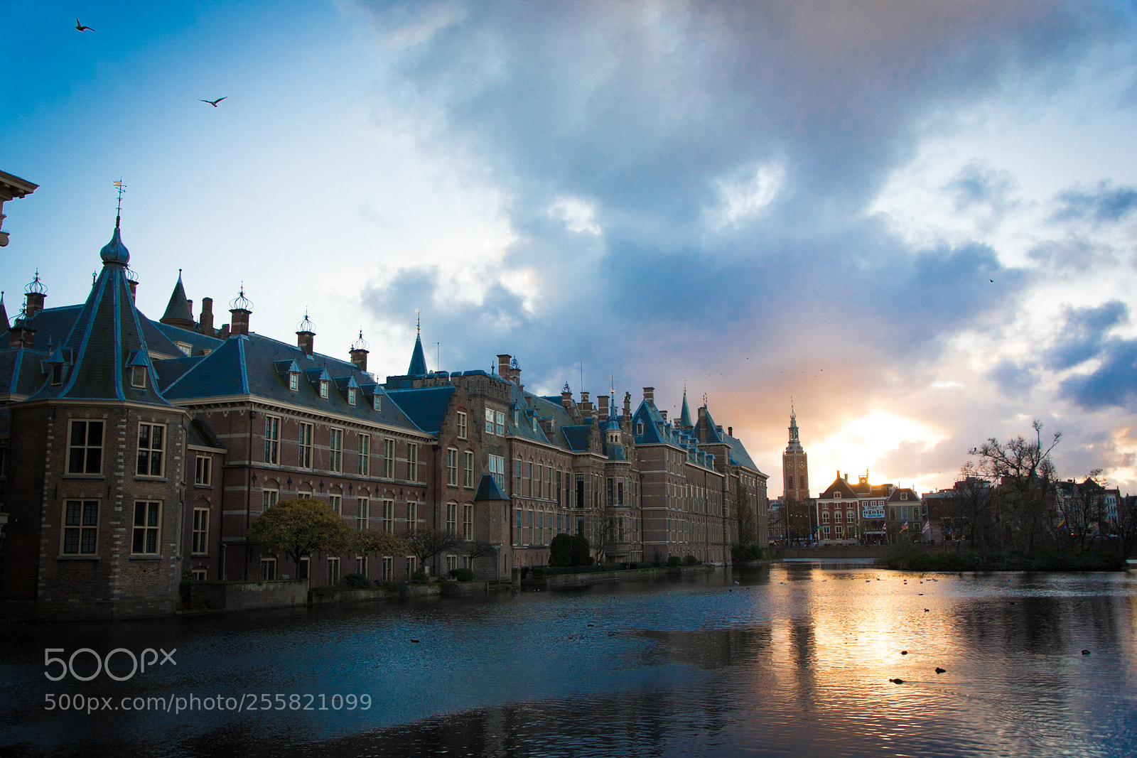 Nikon D7100 sample photo. The hague parliament photography