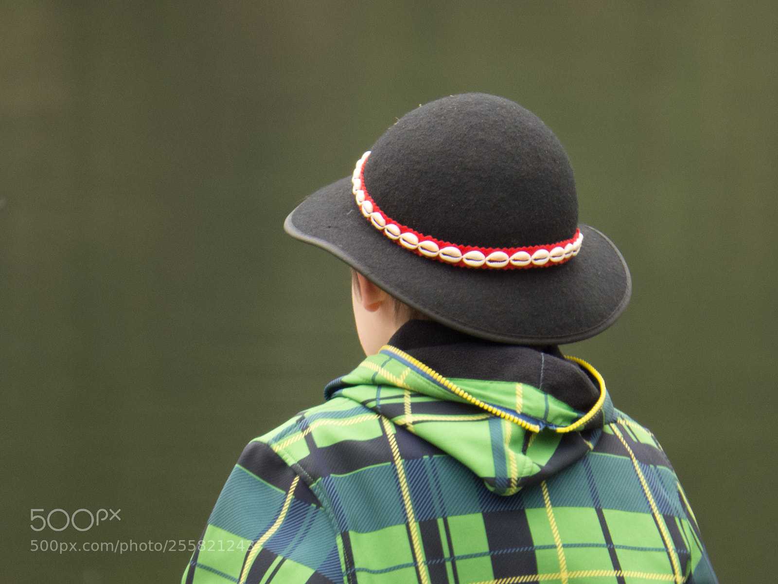 Canon PowerShot SX50 HS sample photo. The hat photography