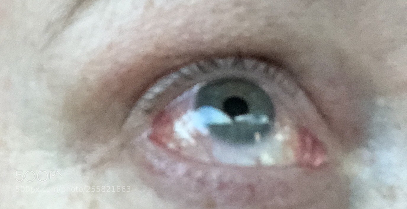 Apple iPhone X sample photo. Untitled photography