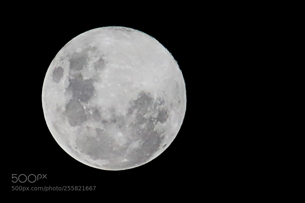 Canon EOS 5D Mark IV sample photo. Full moon photography