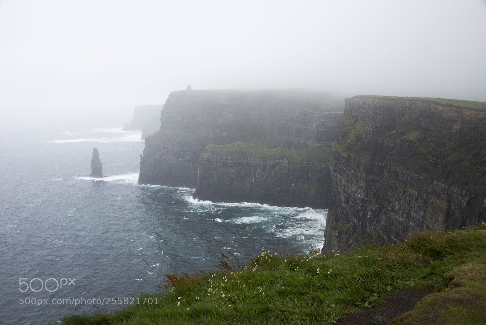 Nikon D800E sample photo. Cliffs of moher ireland photography