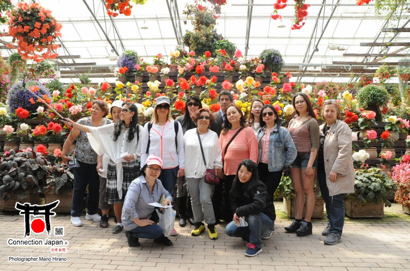 Nikon D700 sample photo. Sakura photography