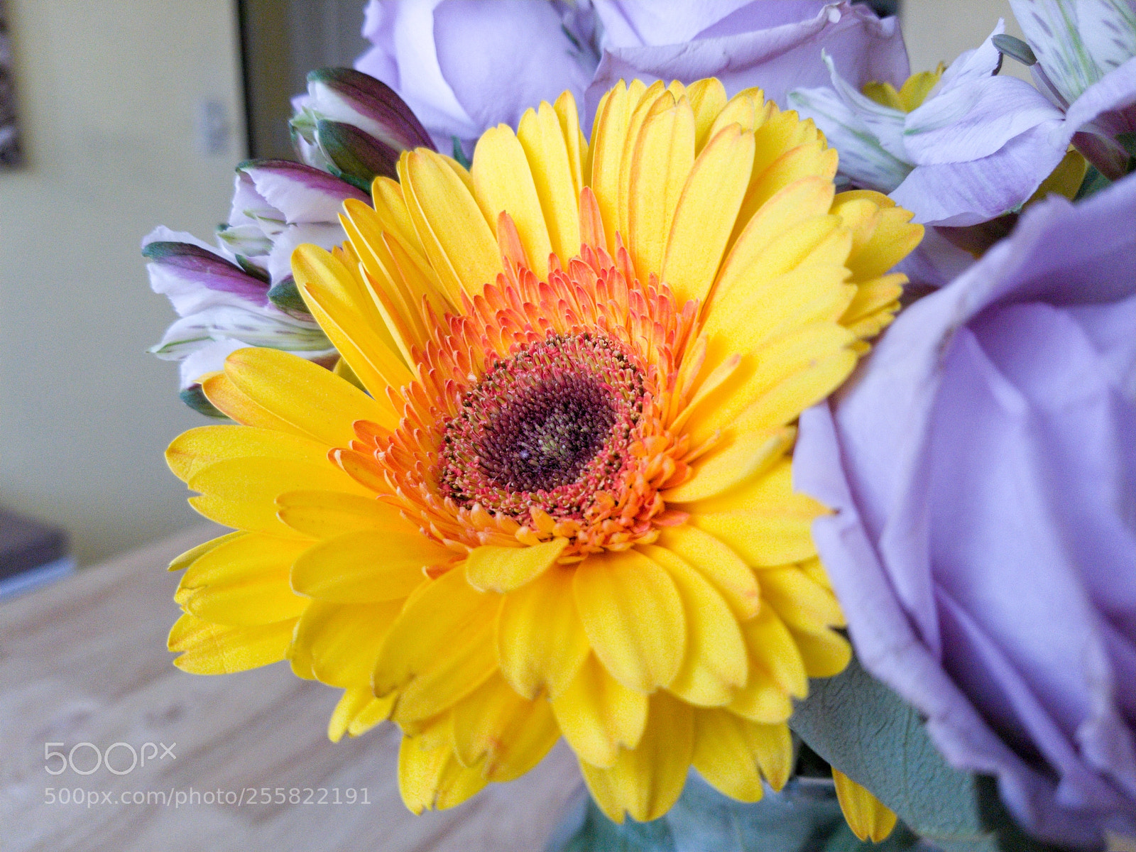 Samsung Galaxy S8+ sample photo. Sunflower_purple_rose.jpg photography