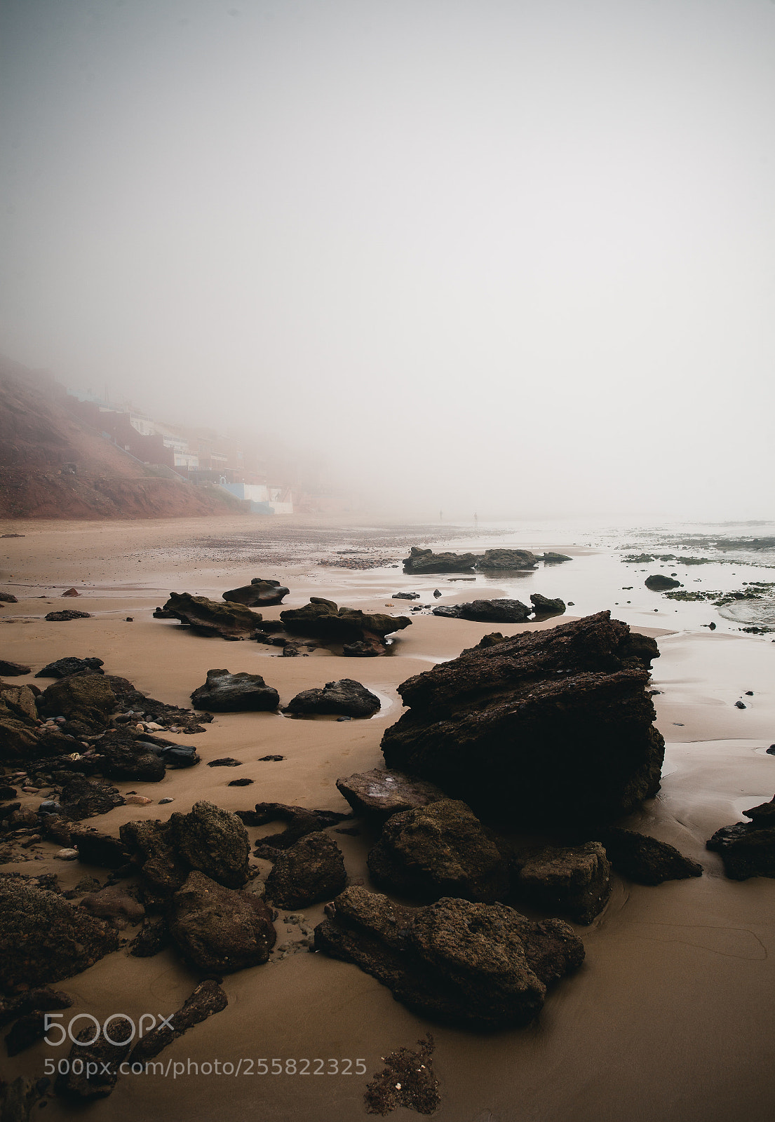 Canon EOS 5D Mark II sample photo. Foggy morning photography