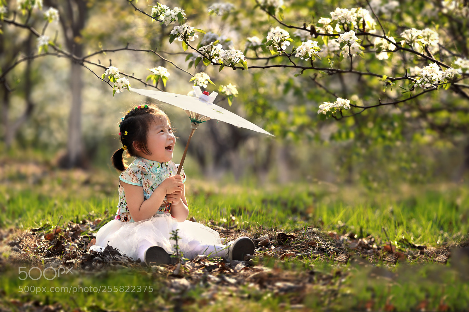 Canon EOS 5D Mark IV sample photo. 小花伞 photography