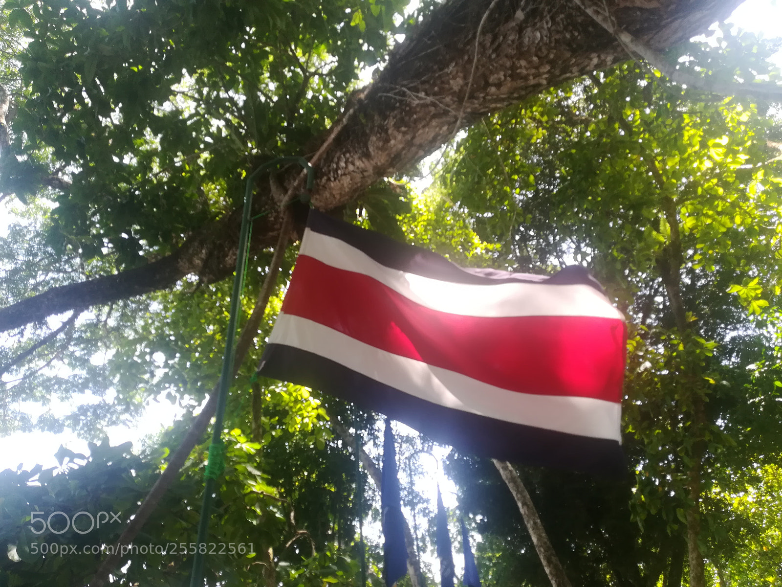HUAWEI PRA-LX1 sample photo. Untitled photography