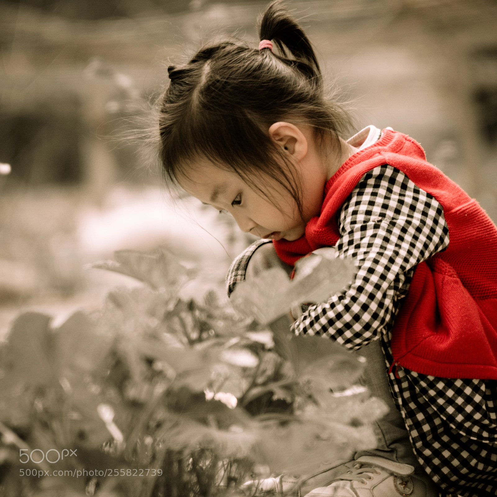 Nikon D7000 sample photo. Childhood photography