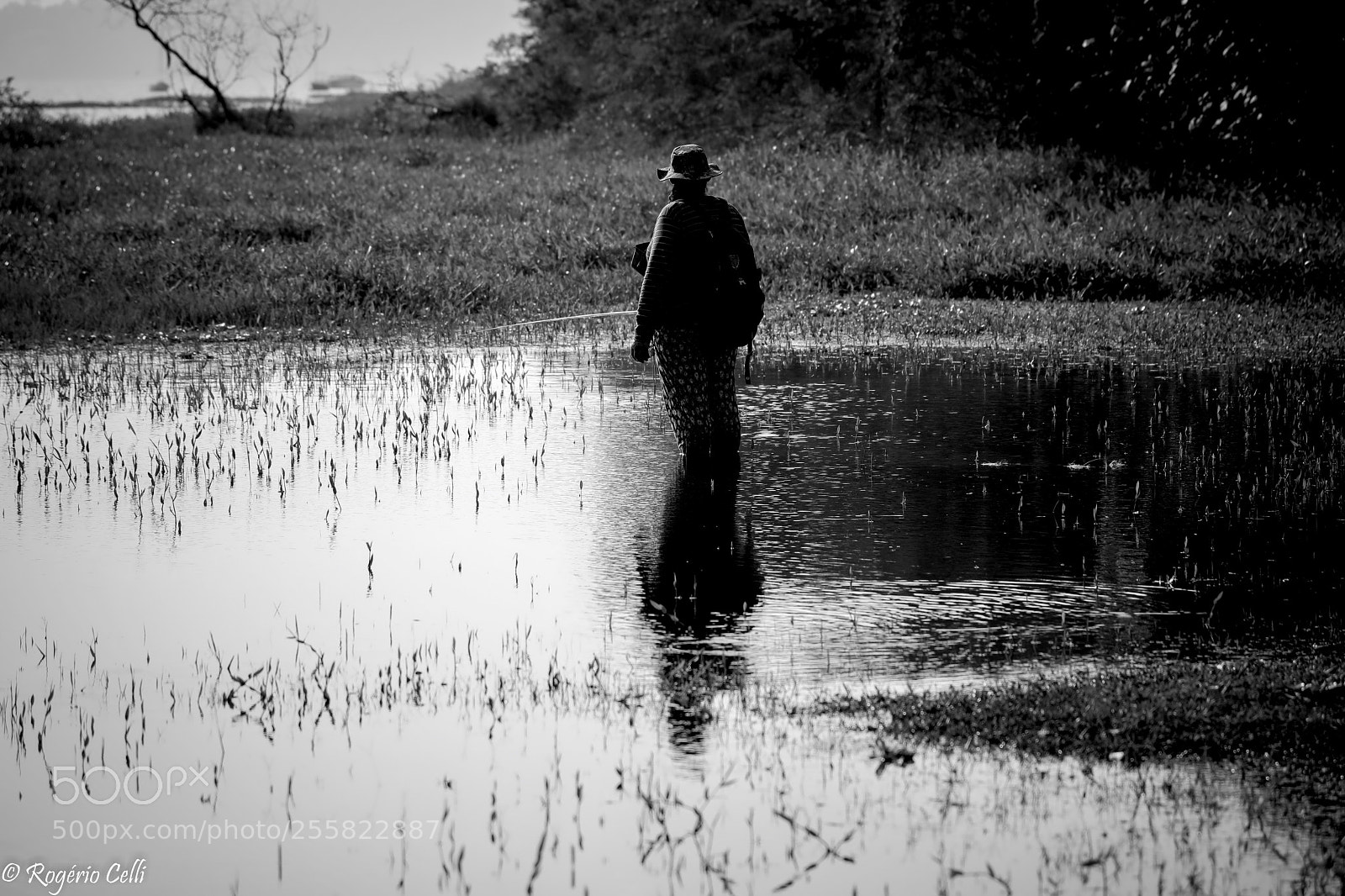 Canon EOS 5D Mark IV sample photo. Enjoying a peace moment  photography