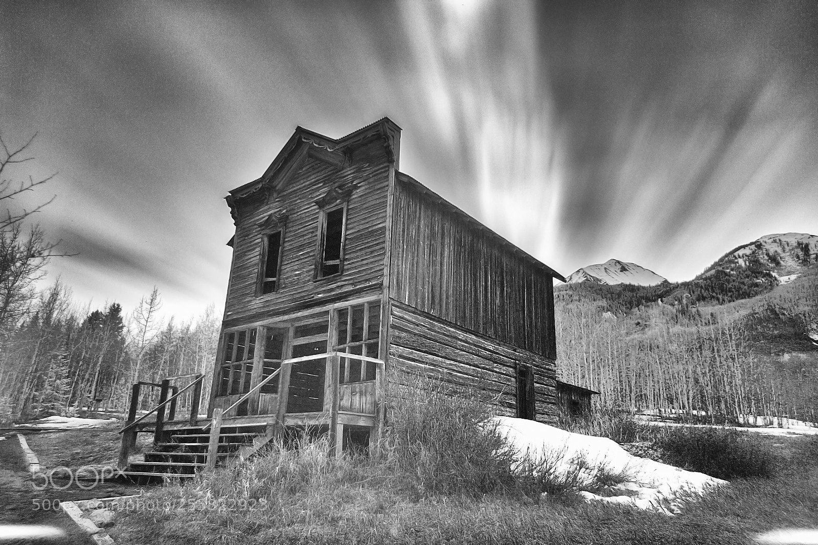 Canon EOS-1D X sample photo. The bird house photography