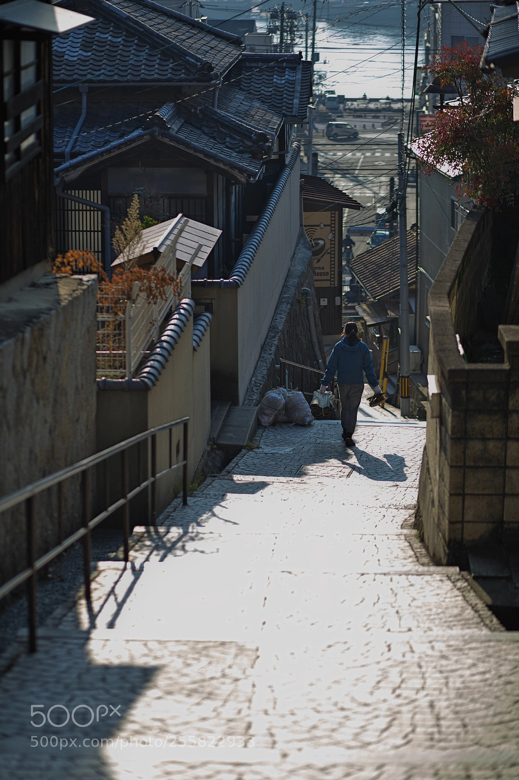 Canon EOS 5D Mark II sample photo. A slope illuminated by photography