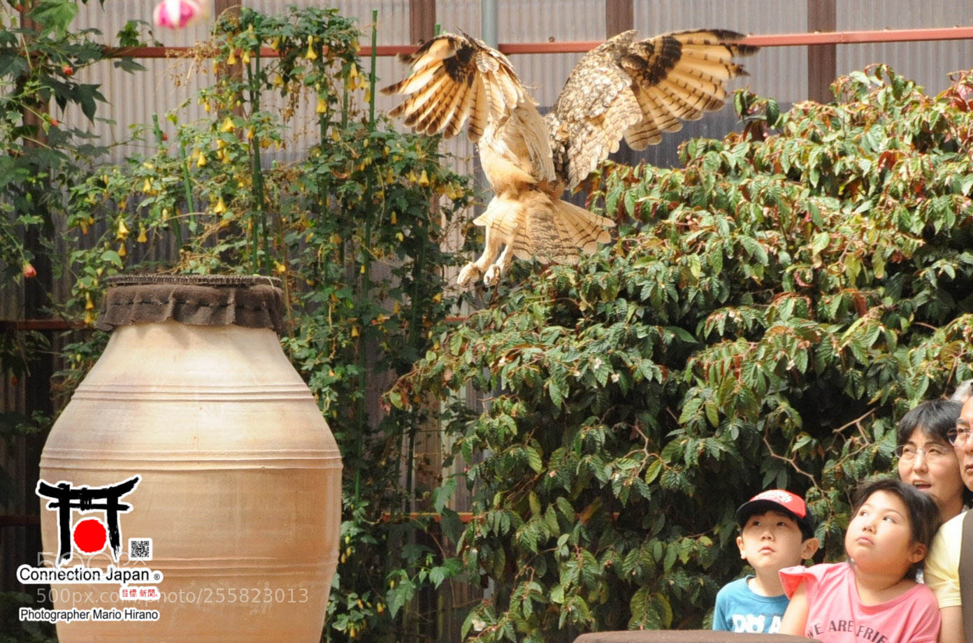 Nikon D700 sample photo. Sakura photography