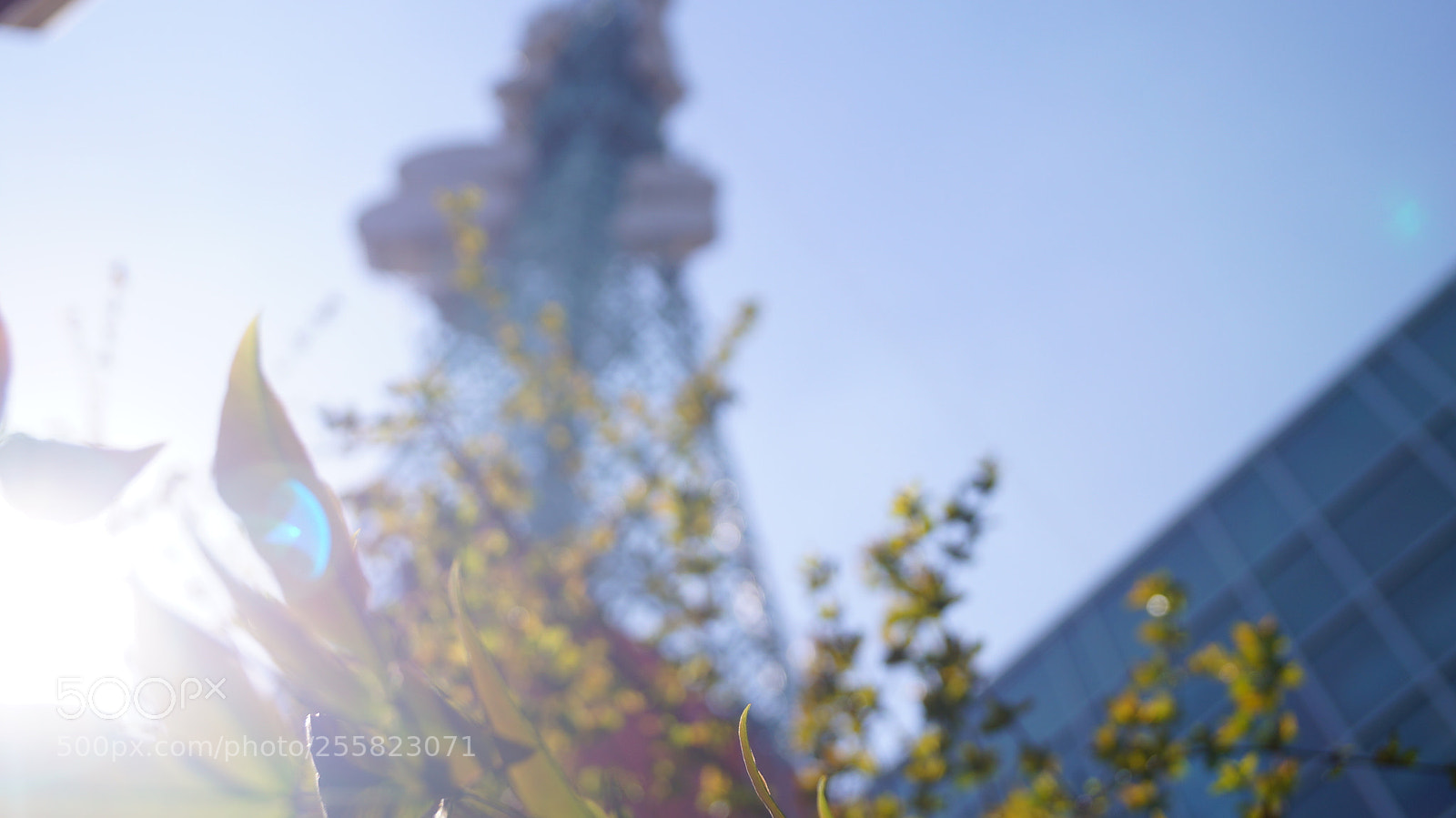 Sony SLT-A37 sample photo. Telelombardia, spring 2018 photography