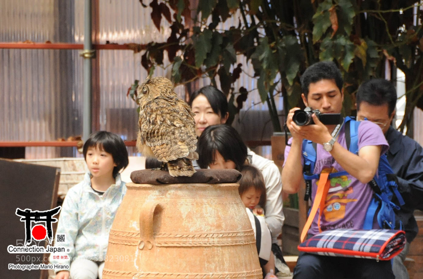 Nikon D700 sample photo. Sakura photography