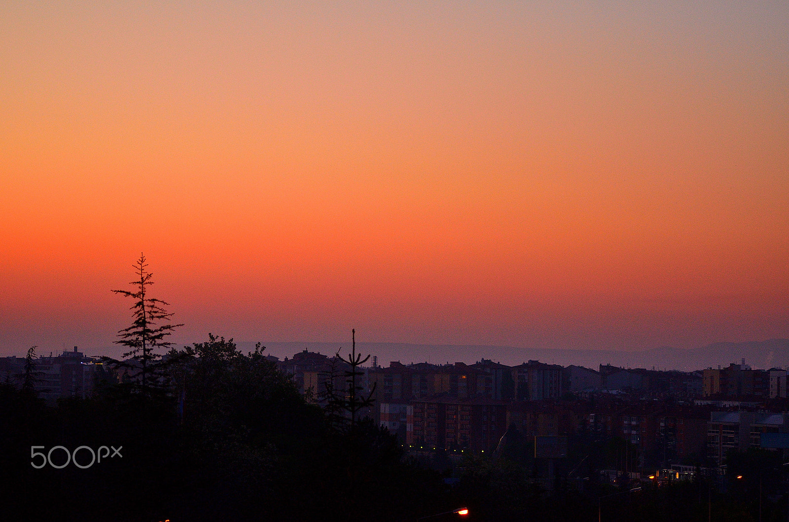 Sigma 70-300mm F4-5.6 APO DG Macro sample photo. Sabaha karşı photography
