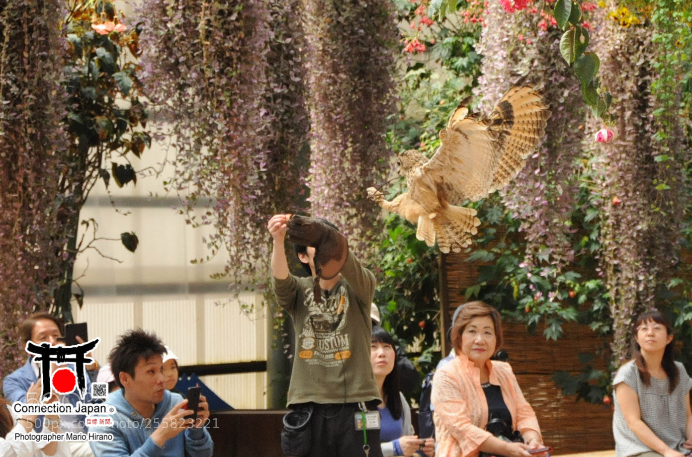 Nikon D700 sample photo. Sakura photography
