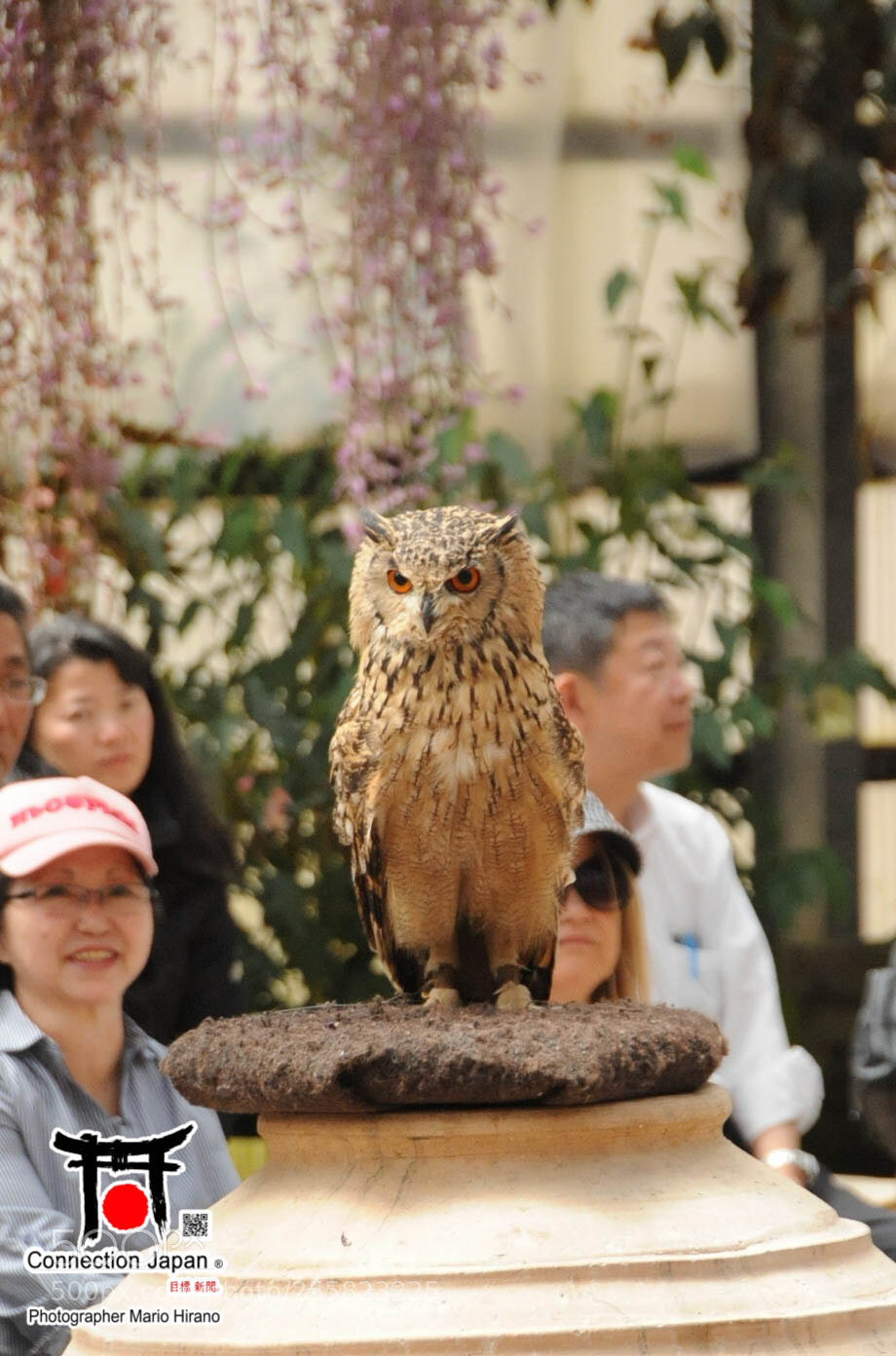 Nikon D700 sample photo. Sakura photography