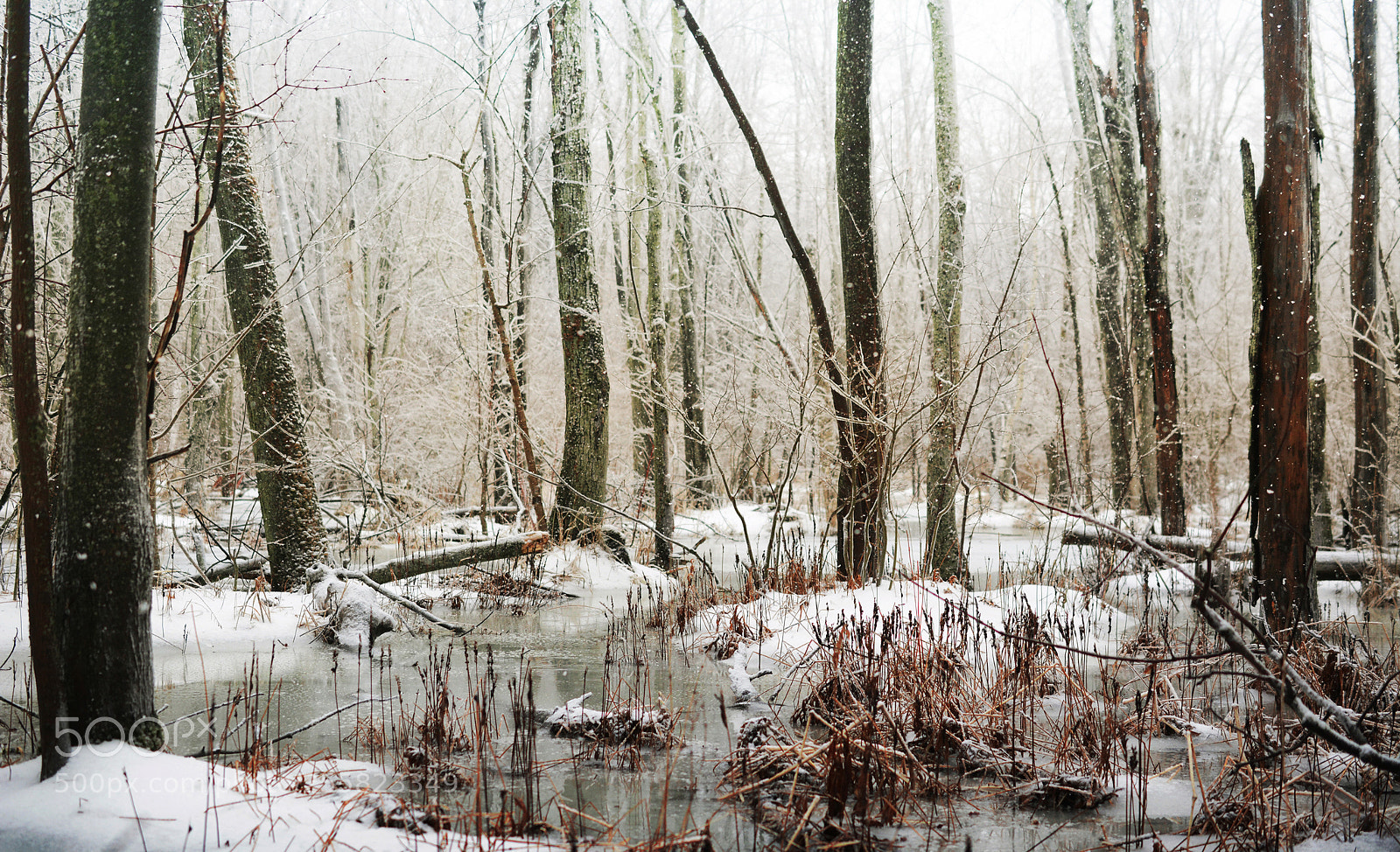 Nikon D7100 sample photo. Crystallized photography